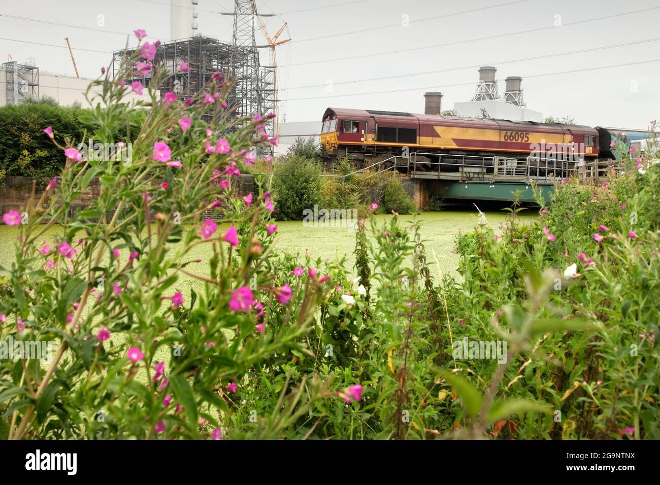 DB Cargo Classe 66 loco 66095 trasporto del 1215 Immingham Biomass alla centrale elettrica di Drax, servizio del Regno Unito accanto al canale Stainforth & Keadby il 27/7/2021. Foto Stock