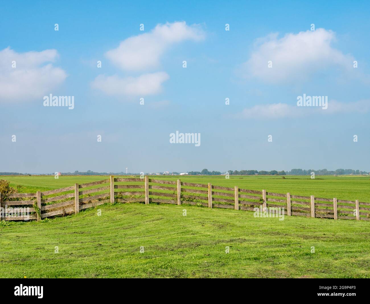 Pascolo chiuso con recinzione in legno polder, Frisia, Paesi Bassi Foto Stock