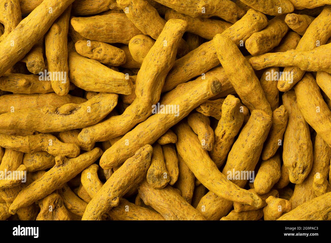 Secco Yellowturmeric primo piano su telaio pieno come sfondo Foto Stock