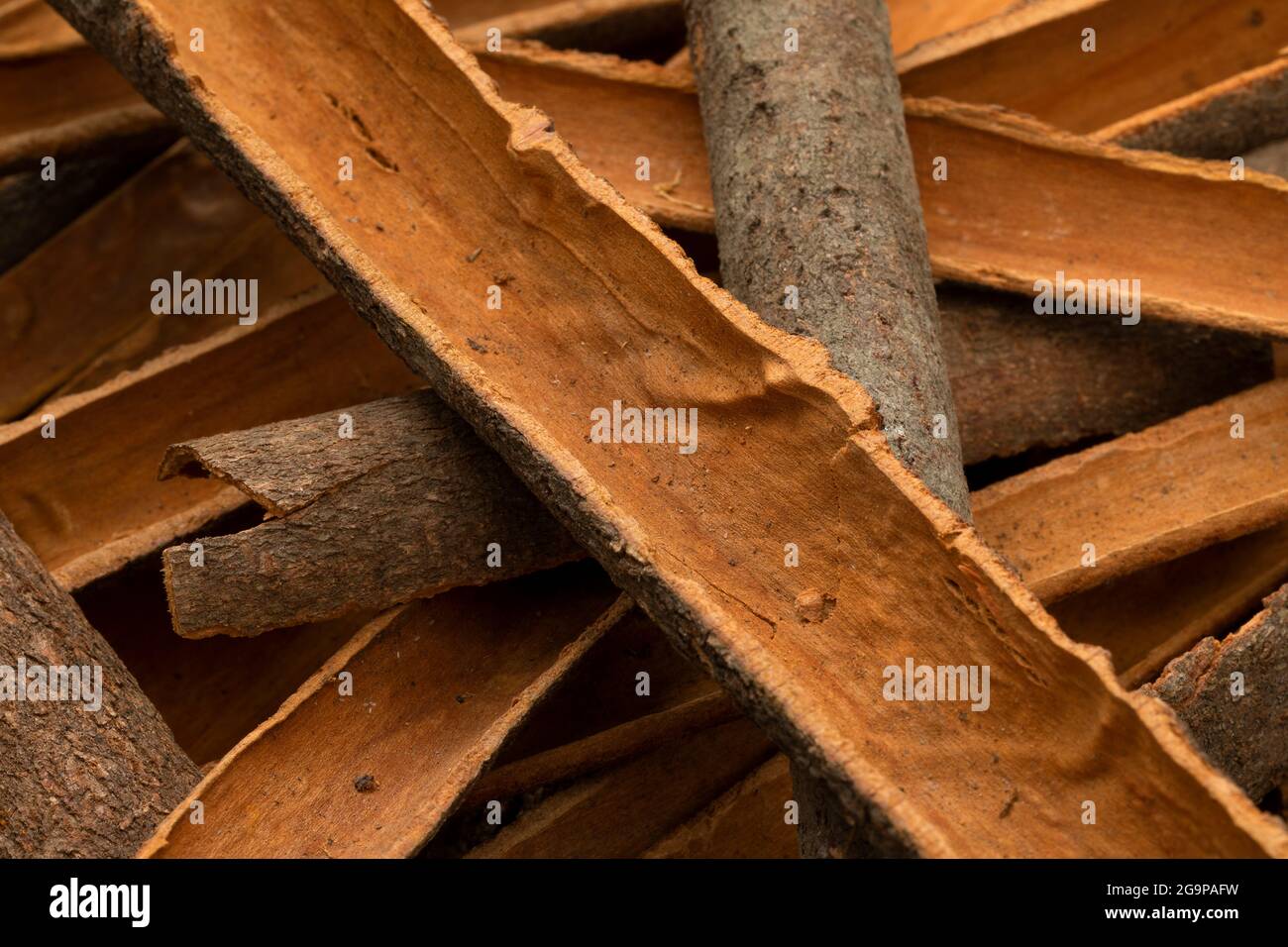 Corteccia di cannella essiccata vicino su telaio pieno come sfondo Foto Stock