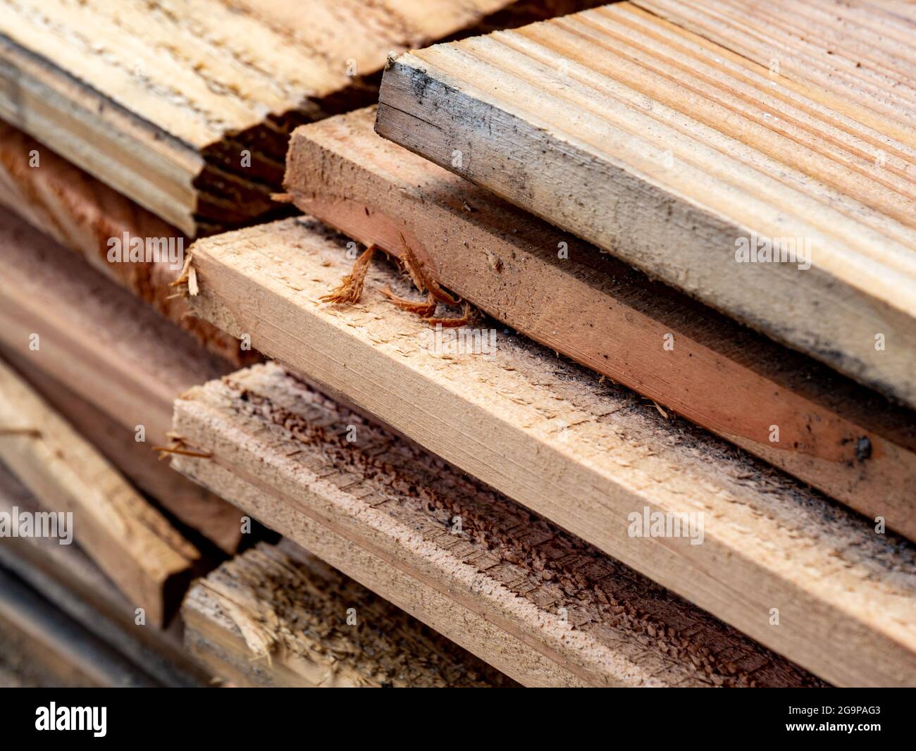 Abete Douglas non trattato impilato, Pseudotsuga menziesii, legname di pino segato di recente Foto Stock