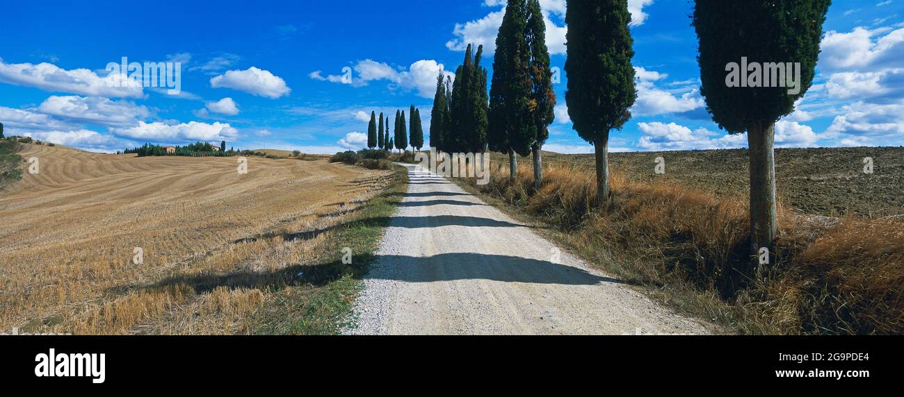 L'Italia, in Toscana, in provincia di Siena, paesaggio di Creta Foto Stock