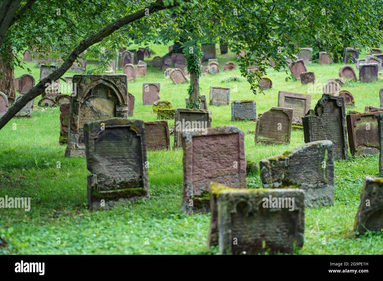 Worm, Germania. 27 luglio 2021. Numerose lapidi si trovano nel cimitero di 'Santa sabbia'. Il più antico cimitero ebraico d'Europa ha circa 2000 tombe. Per la prima volta, l'UNESCO ha designato i beni culturali ebraici in Germania come siti Patrimonio dell'Umanità, con l'ambito premio destinato ai cosiddetti siti Schum di Magonza, Worms e Speyer come culla dell'ebraismo europeo. Credit: Frank Rumpenhorst/dpa/Alamy Live News Foto Stock