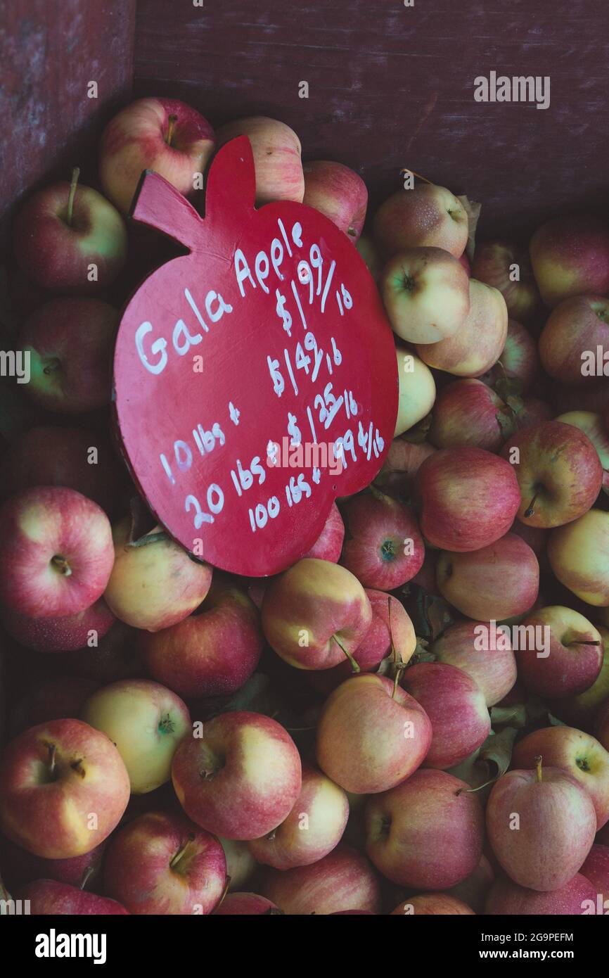Pila di mele di gala in vendita presso il locale Roadside Fruit Stand Market Foto Stock