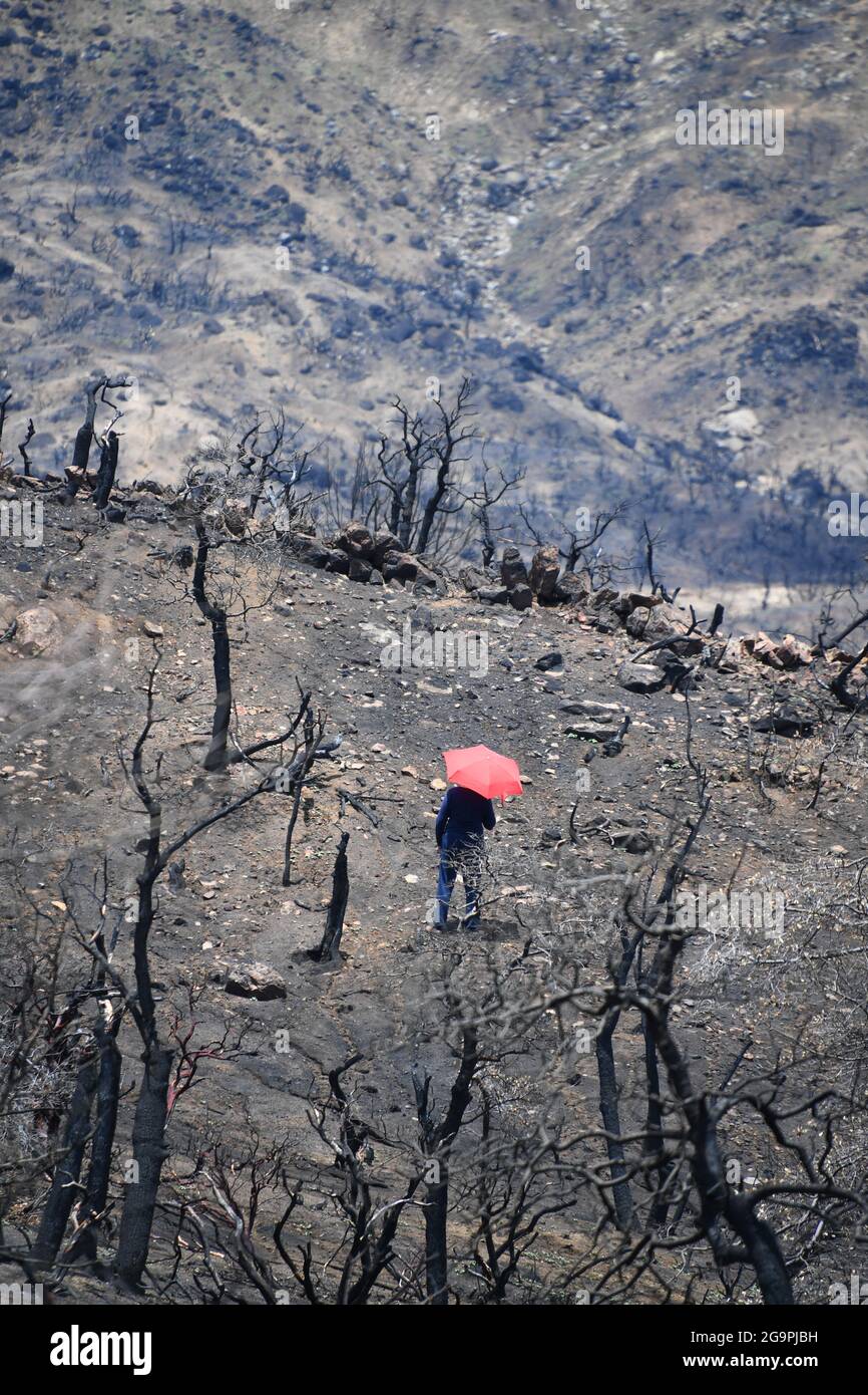 Persona che cammina nel deserto bruciato dal fuoco di Telegraph con ombrello rosso Foto Stock