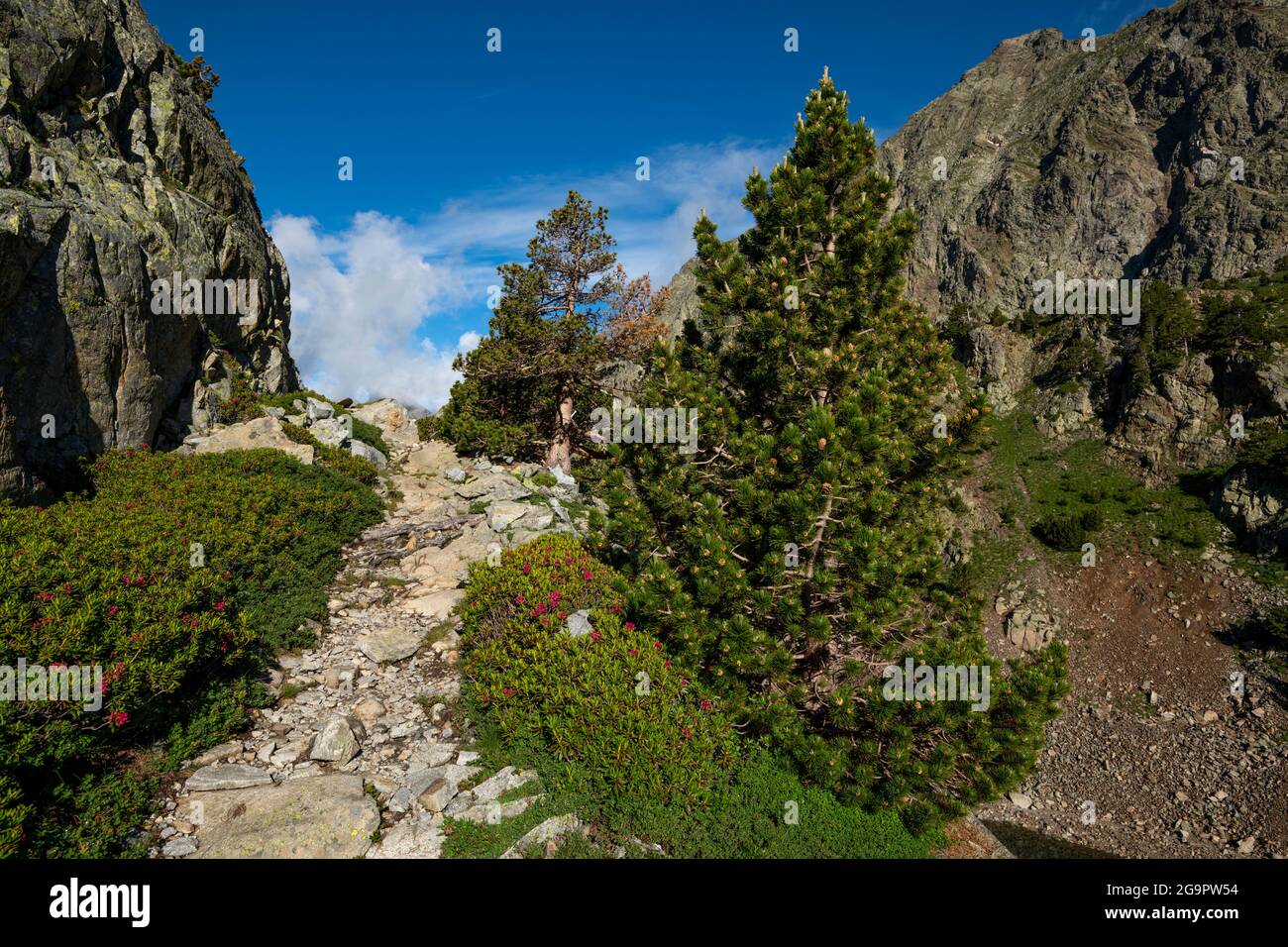 Sentiero montano sui laghi di Arriel, Pirenei Aragon, Valle di Respomuso, Valle di Tena, Provincia di Huesca, Aragon, Spagna Foto Stock