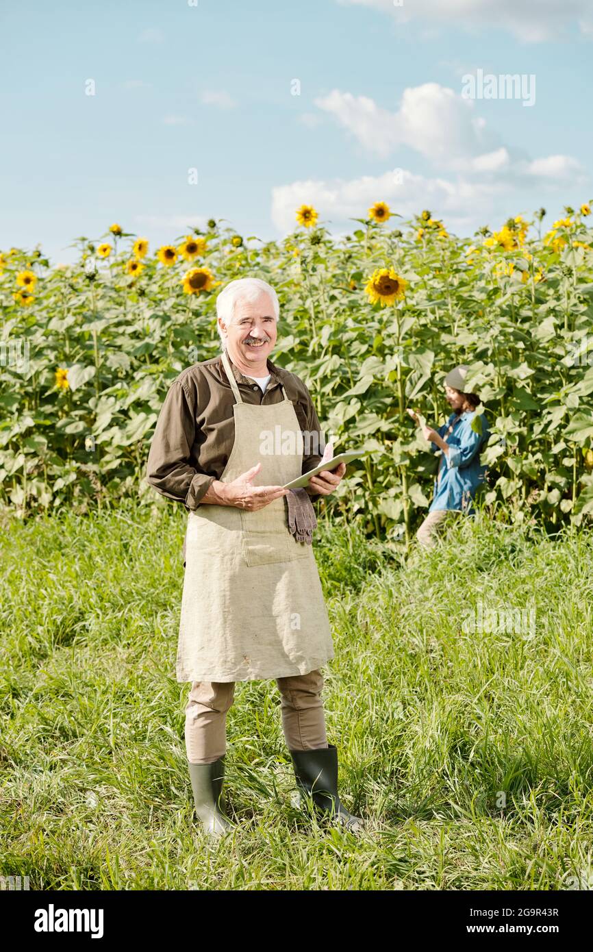 Agricoltore maschio allegro maturo in abbigliamento da lavoro in piedi di fronte fotocamera e utilizzo del touchpad contro il campo di girasole e la donna su giorno di sole Foto Stock