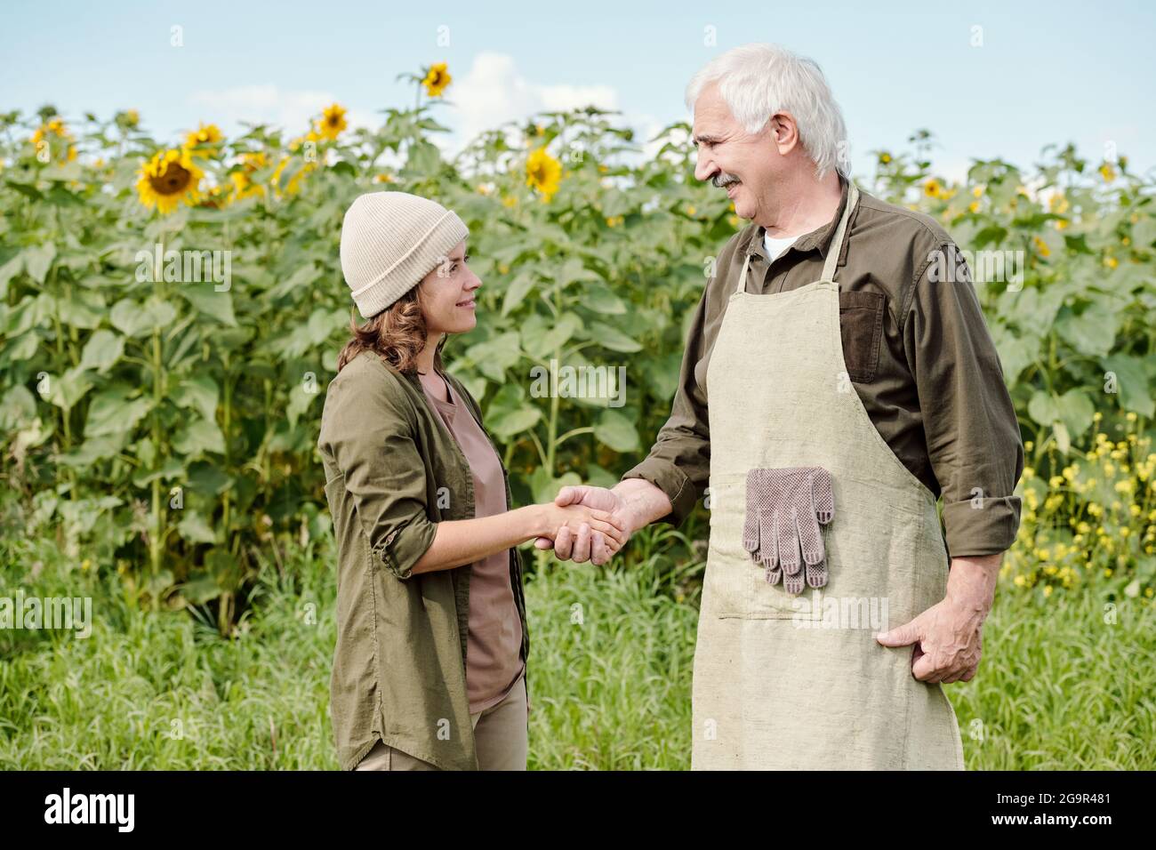 Felice agricoltore maschio anziano e la sua collega matura con bottiglia di olio di girasole davanti alla fotocamera contro campo verde Foto Stock