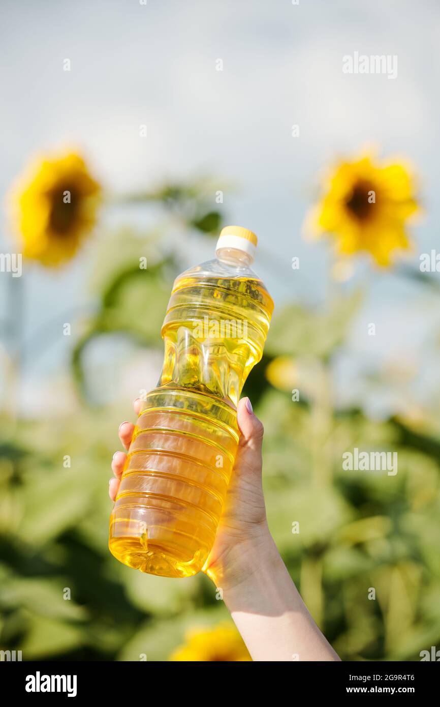 Bottiglia di plastica con olio di girasole fresco contro campo con verde piante con fiori gialli grandi e molti semi neri dentro ambiente rurale Foto Stock