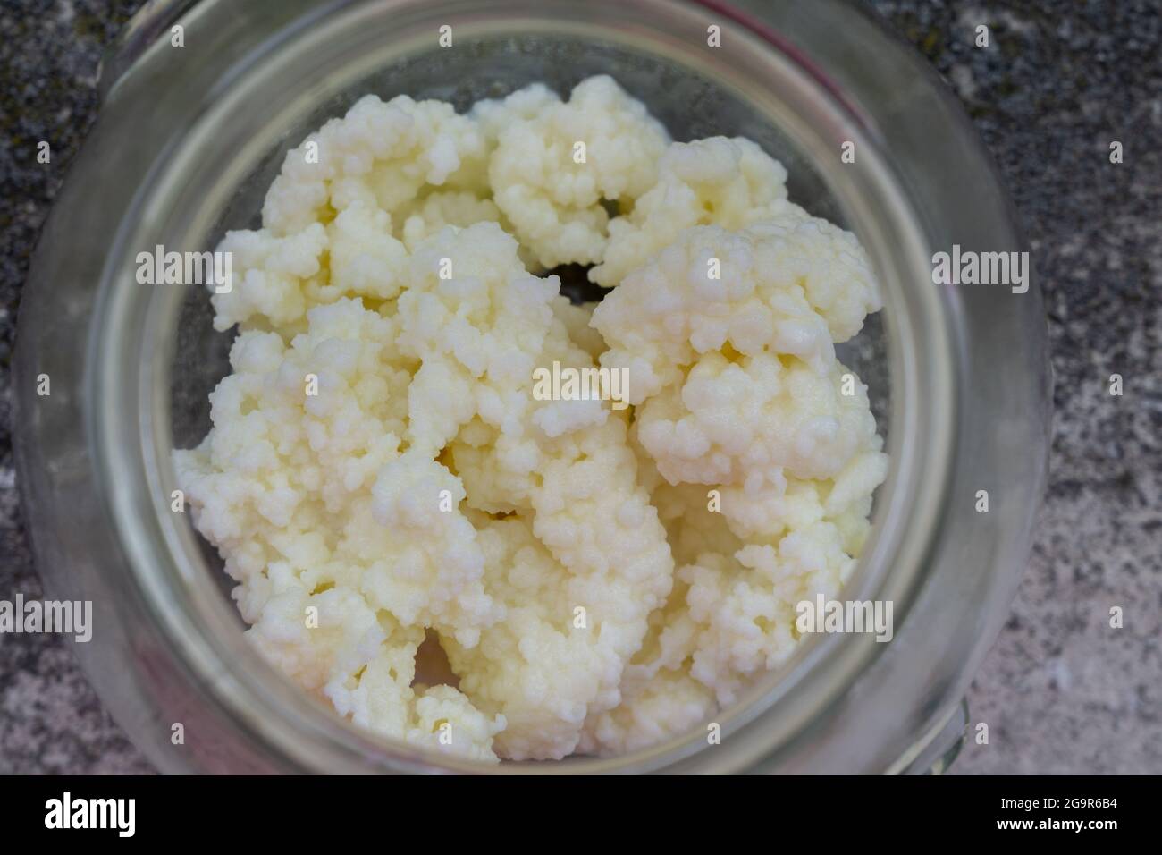Grani di kefir e kefir di latte fatti in casa nel vasetto della bottiglia  Foto stock - Alamy