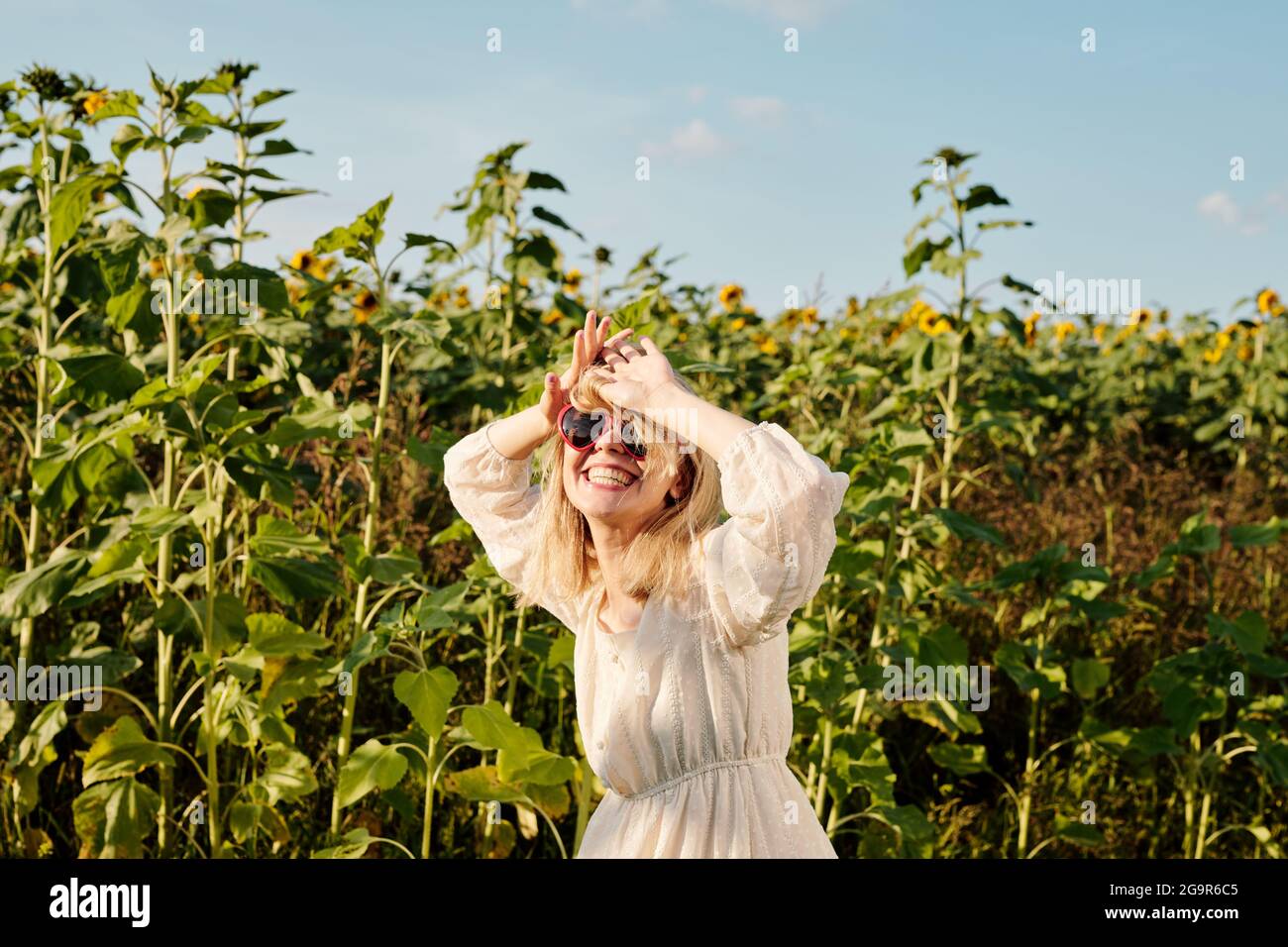 Giovane donna bionda in occhiali da sole e abito bianco stile country in piedi davanti alla macchina fotografica contro il campo di girasole e blu cielo in estate Foto Stock