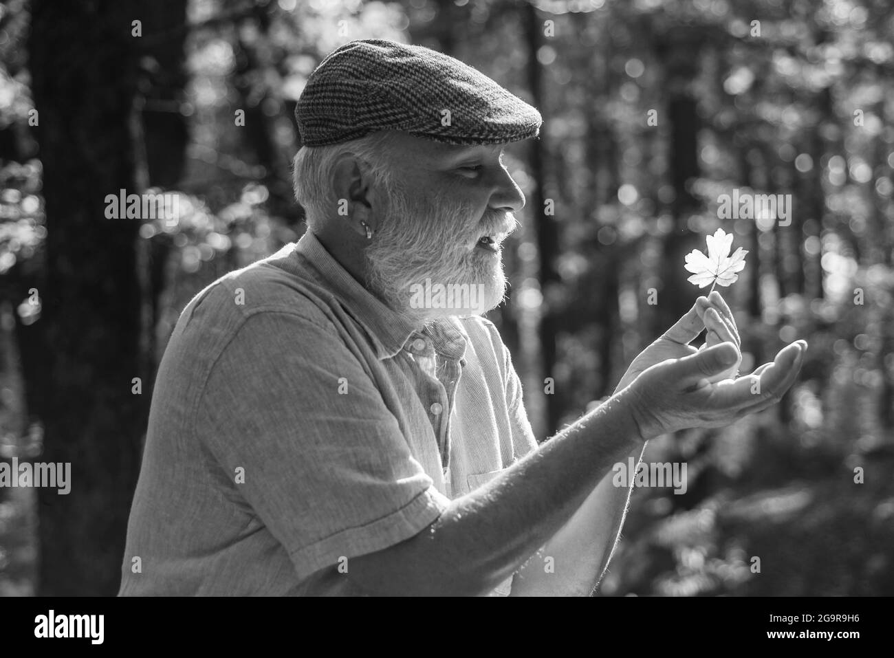 Guarda la bellezza in cose semplici. Curiosità alla botanica. Esplora il mondo in giro. Escursioni in foresta per pensionati in sole giornate autunnali. L'uomo gode della natura autunnale. Vecchio Foto Stock