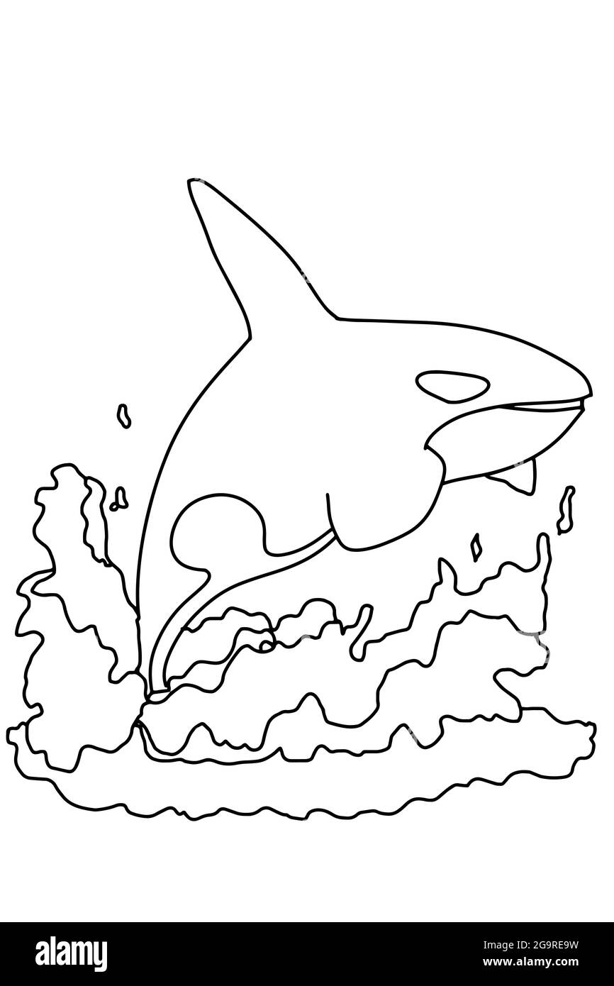 Cartoon orca, balena killer illustrazione drawing.Line art.Coloring Foto Stock