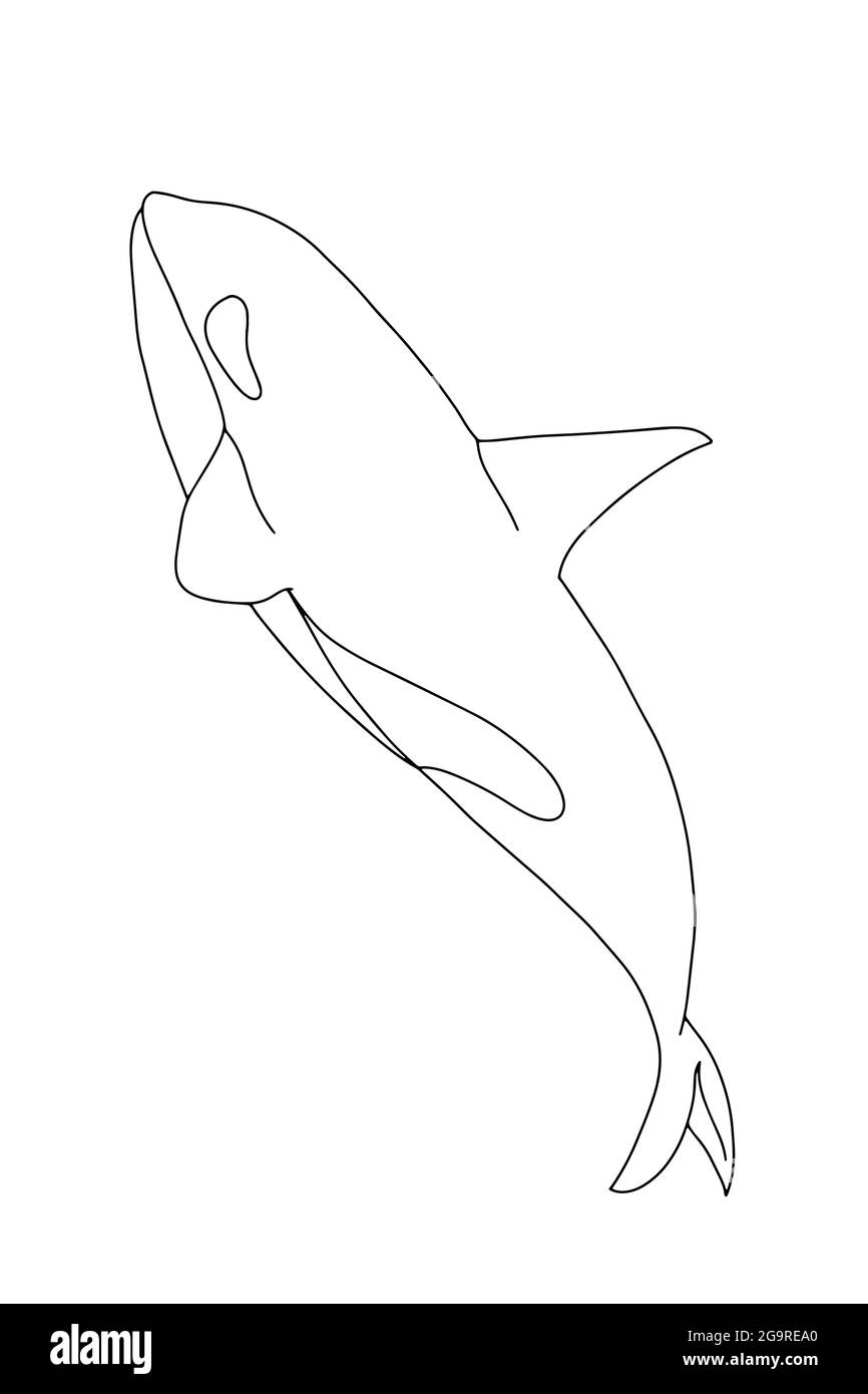 Cartoon orca, balena killer illustrazione drawing.Line art.Coloring Foto Stock