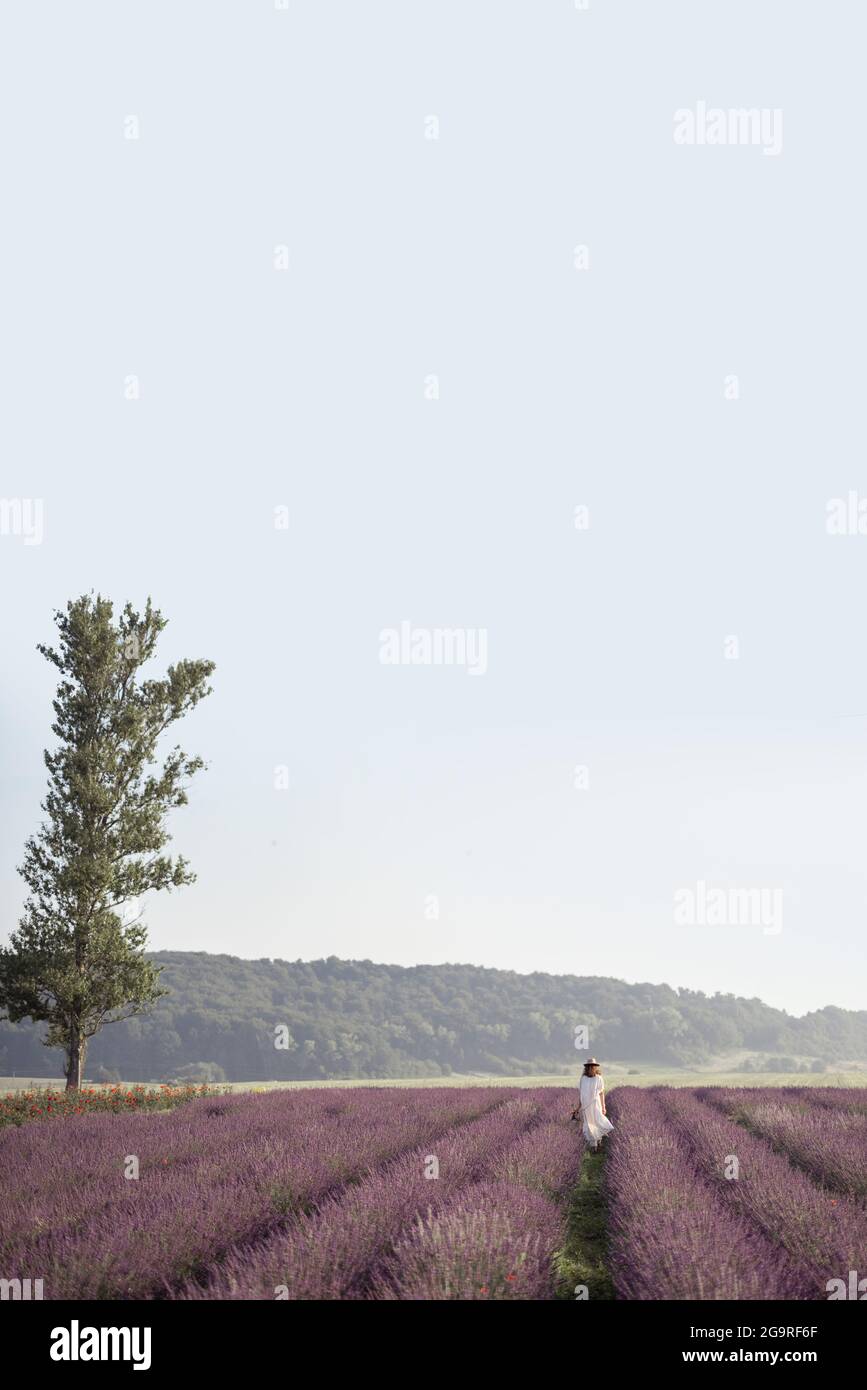 Giovane donna che soggiorna sul campo di lavanda con un albero e godere della bellezza della natura. Calma e concetto di consapevolezza. Spazio di copia. Piano generale Foto Stock