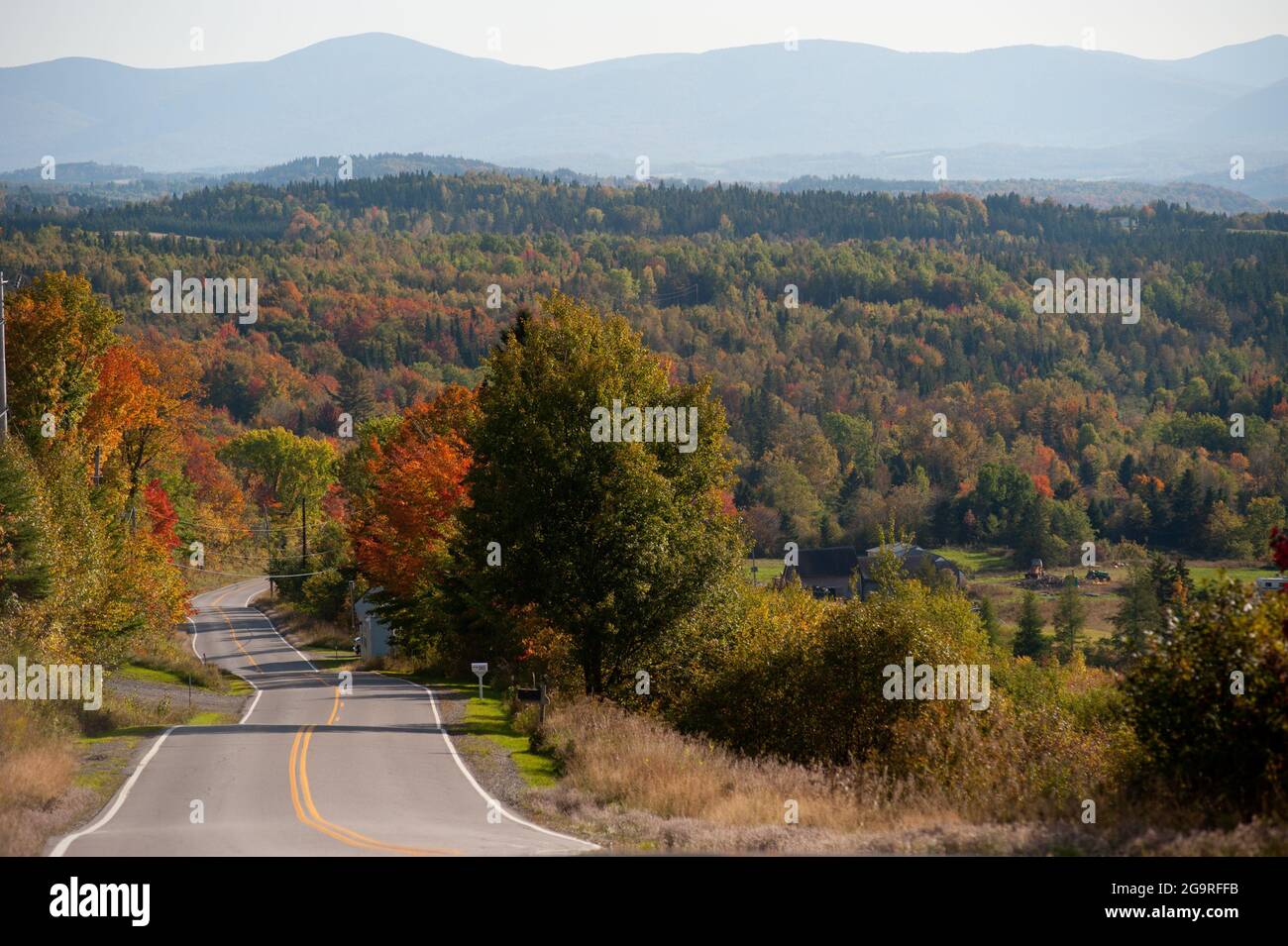 Vista del fogliame autunnale dalla Route 145, Clarksville, New Hampshire, USA Foto Stock