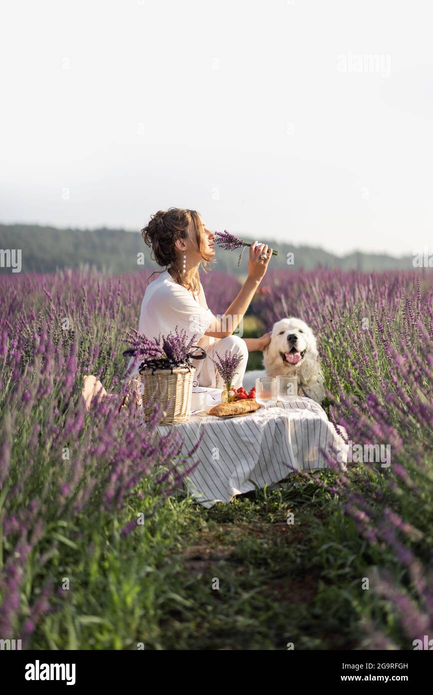 Giovane donna che si gode pic-nic con il cane su campo di lavanda con bouquet di fiori viola. Un concetto di natura bello e tranquillo Foto Stock