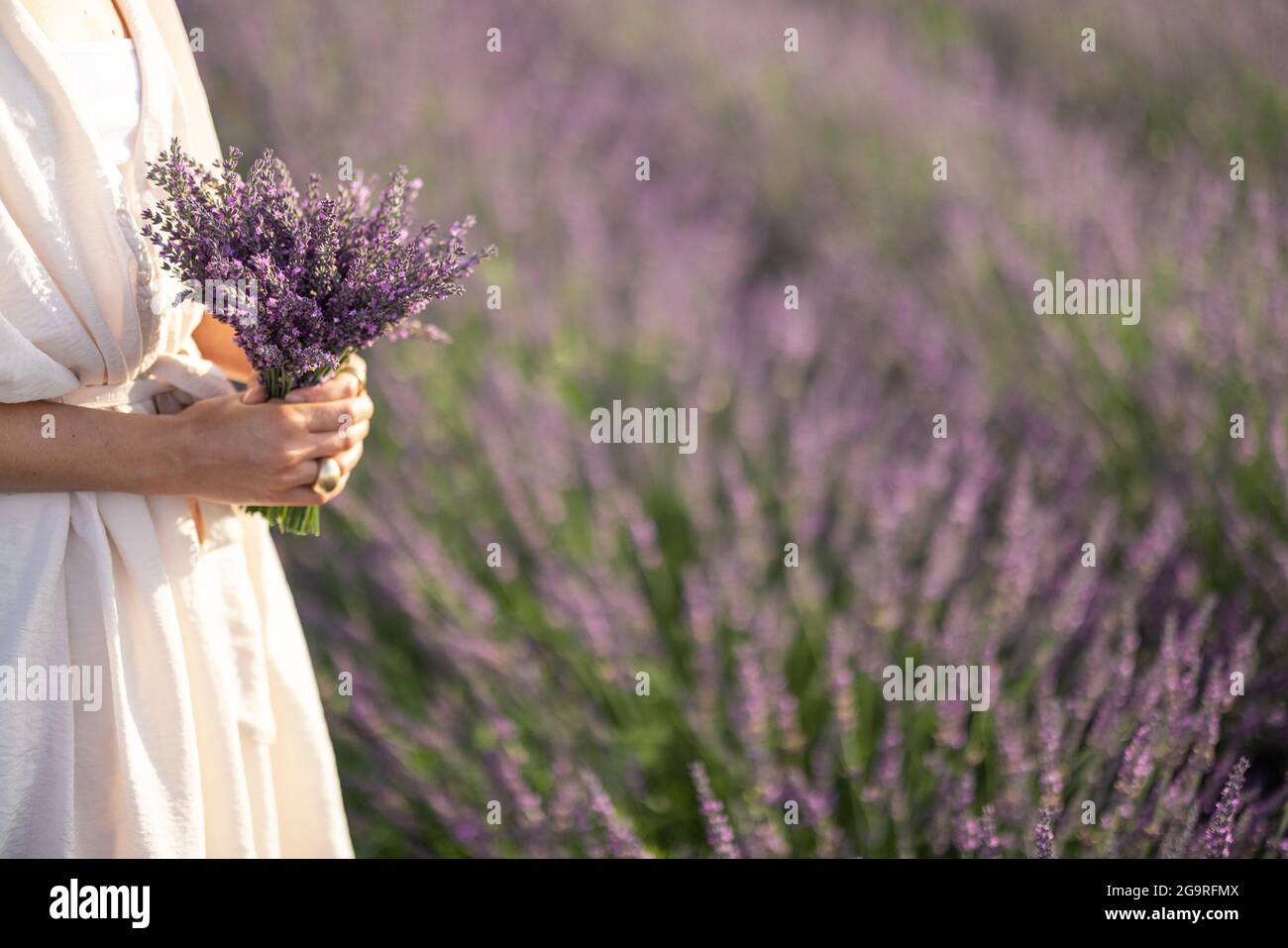 Donna con bouquet viola di fiori freschi di lavanda in mano su sfondo campo fiorito. Calma e concetto di consapevolezza. Godere di bellezza e profumo di natura in estate. Foto Stock