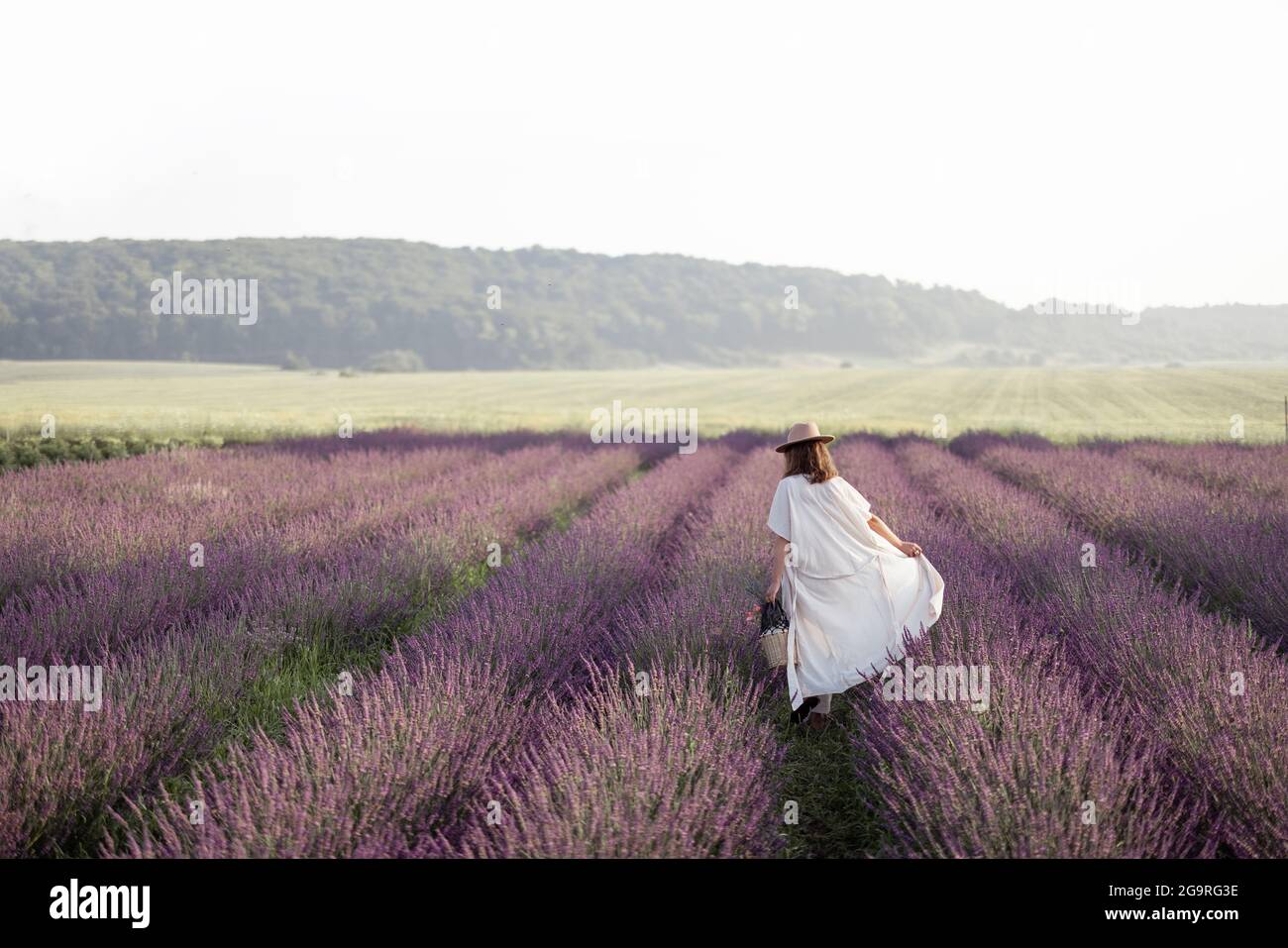 Giovane donna che cammina sul campo di lavanda con bouquet di fiori viola e godere della bellezza e del profumo della natura. Calma e concetto di consapevolezza. Spazio di copia Foto Stock