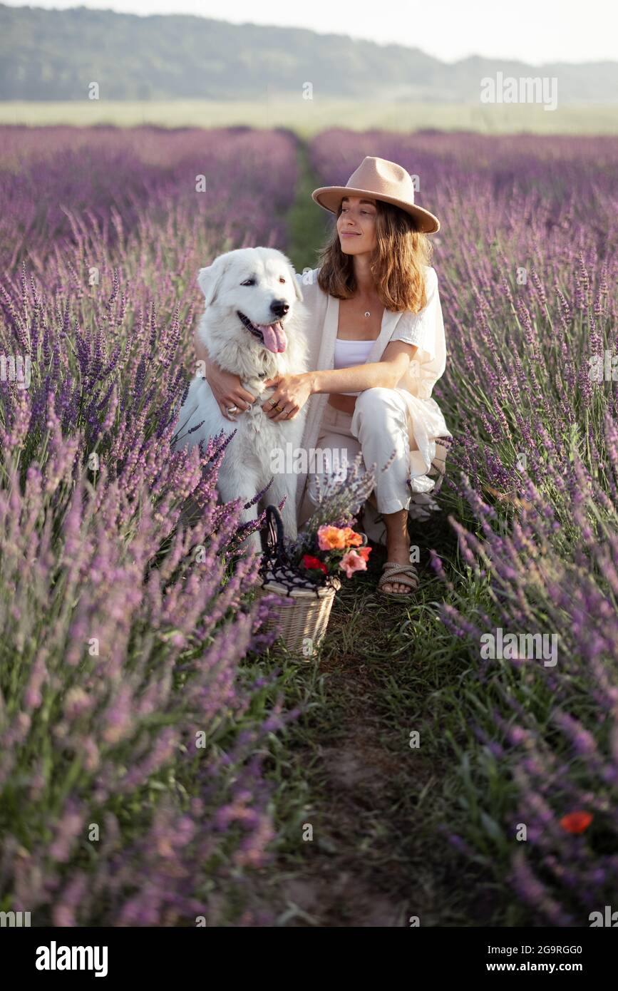 Donna abbracca il suo cane grande su campo di lavanda fiorente e godendo la bellezza della natura. Trascorrere il tempo con l'animale domestico. Bellissima destinazione in estate. Foto Stock
