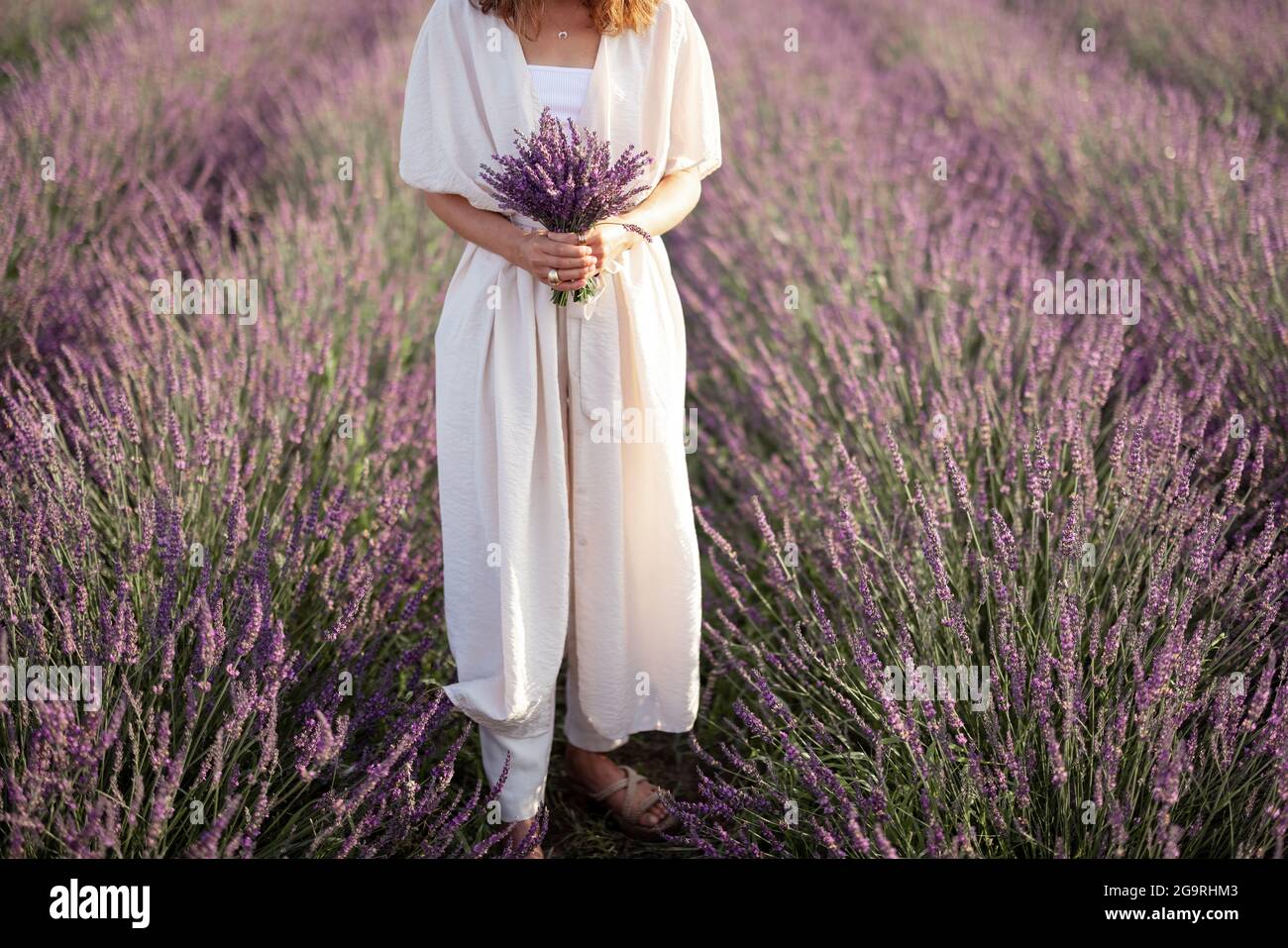 Donna in abito bianco tiene un bouquet viola di fiori freschi di lavanda in campo fiorito. Calma e concetto di consapevolezza. Godere di bellezza e profumo di natura in estate. Foto Stock
