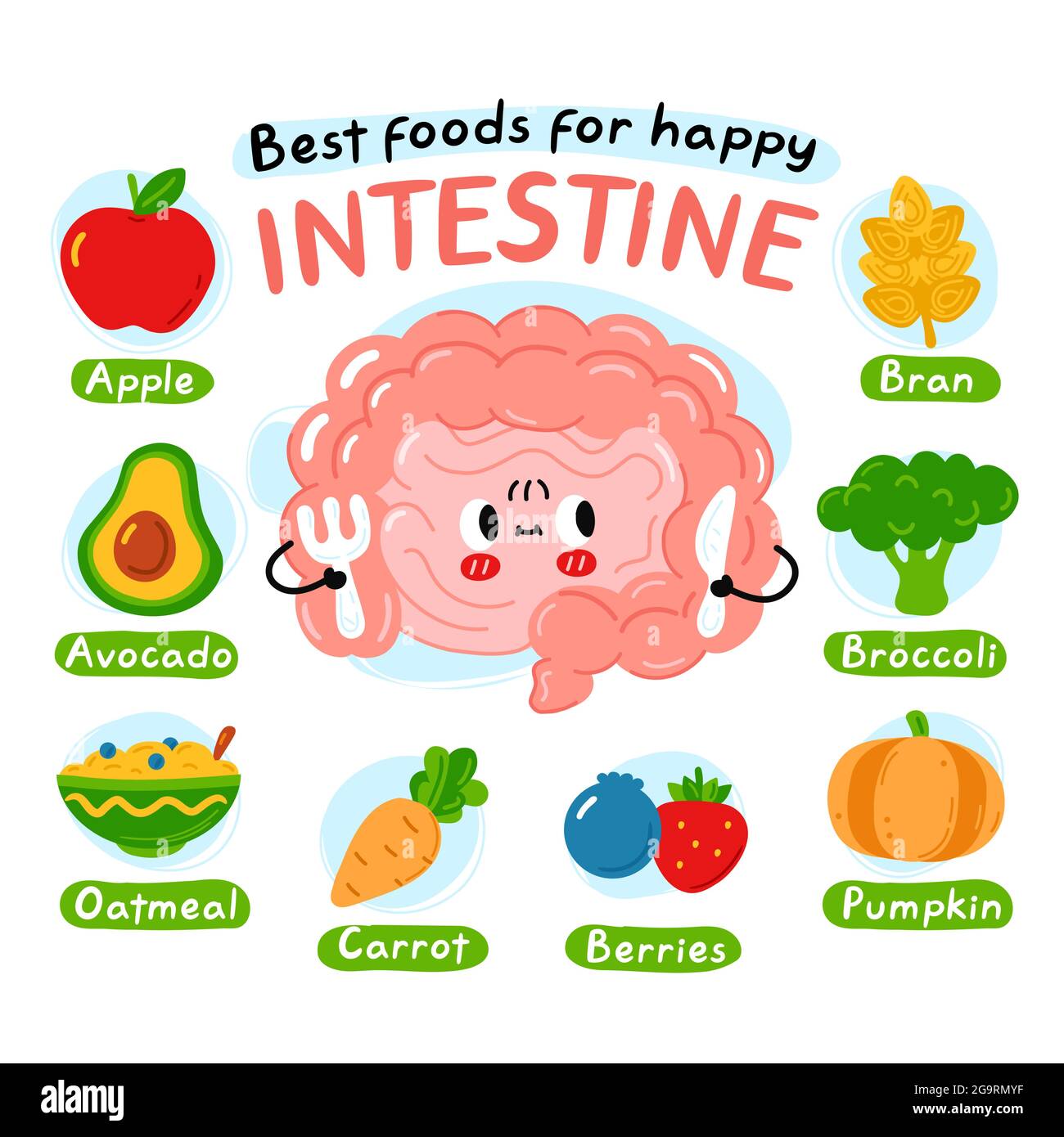 I migliori alimenti per poster infografico felice di interstina. Carino intestino organo carattere. Icona grafica vettoriale kawaii. Isolato su sfondo bianco. Nutrizione, concetto di dieta sana Illustrazione Vettoriale