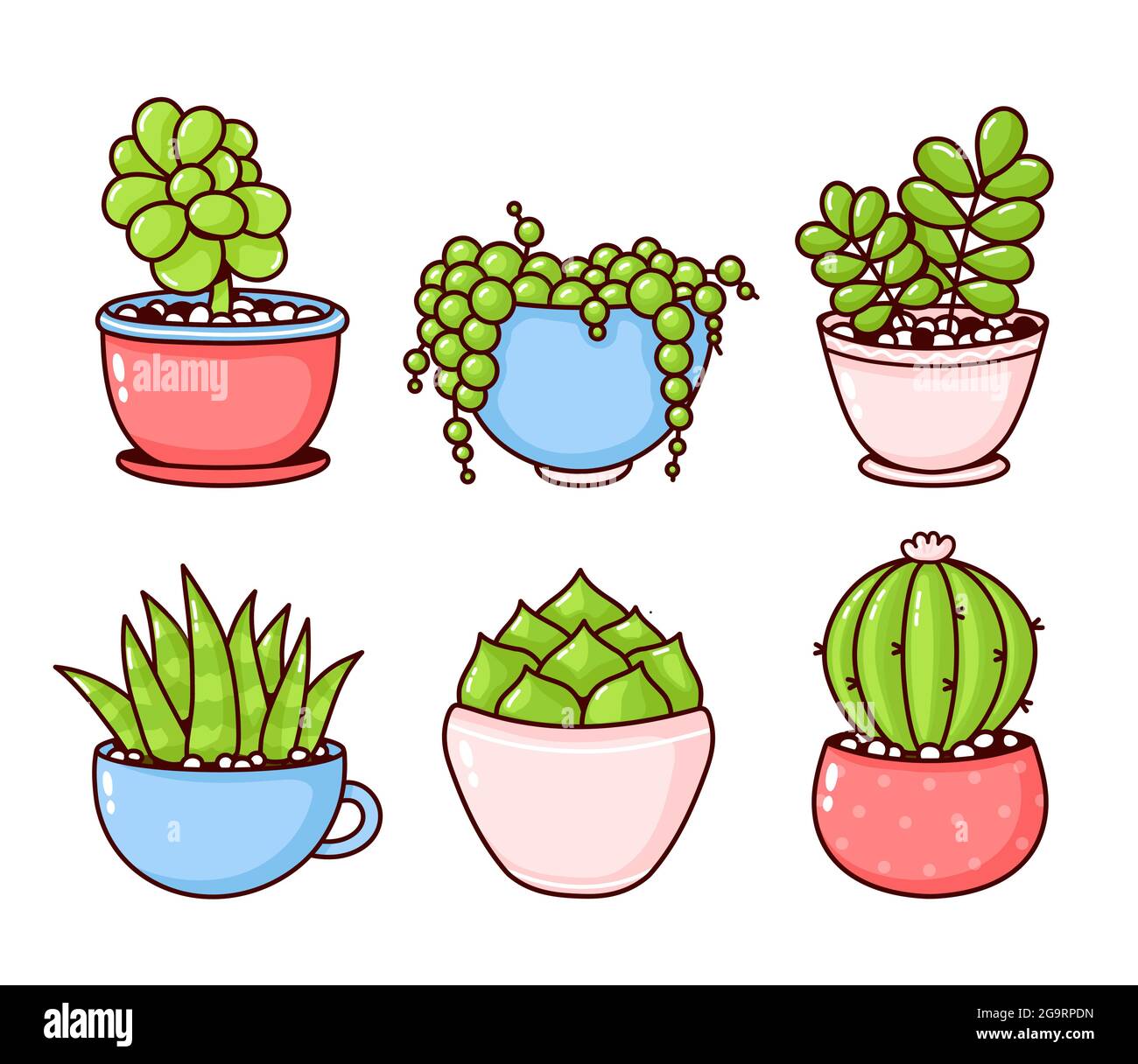 Collezione di piante di succulenti e cactus. Disegno di icone di  illustrazione di cartoni animati piatti vettoriali. Succulenti, cactus  piante adesivi concetto bundle. Isolato su sfondo bianco Immagine e  Vettoriale - Alamy