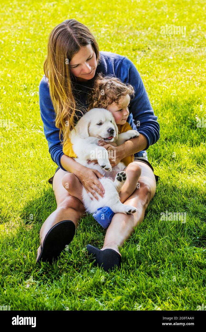 Madre e giovane figlia che giocano sull'erba con i cuccioli di 6 settimane di platino, o Cream Coloured Golden Retriever. Foto Stock