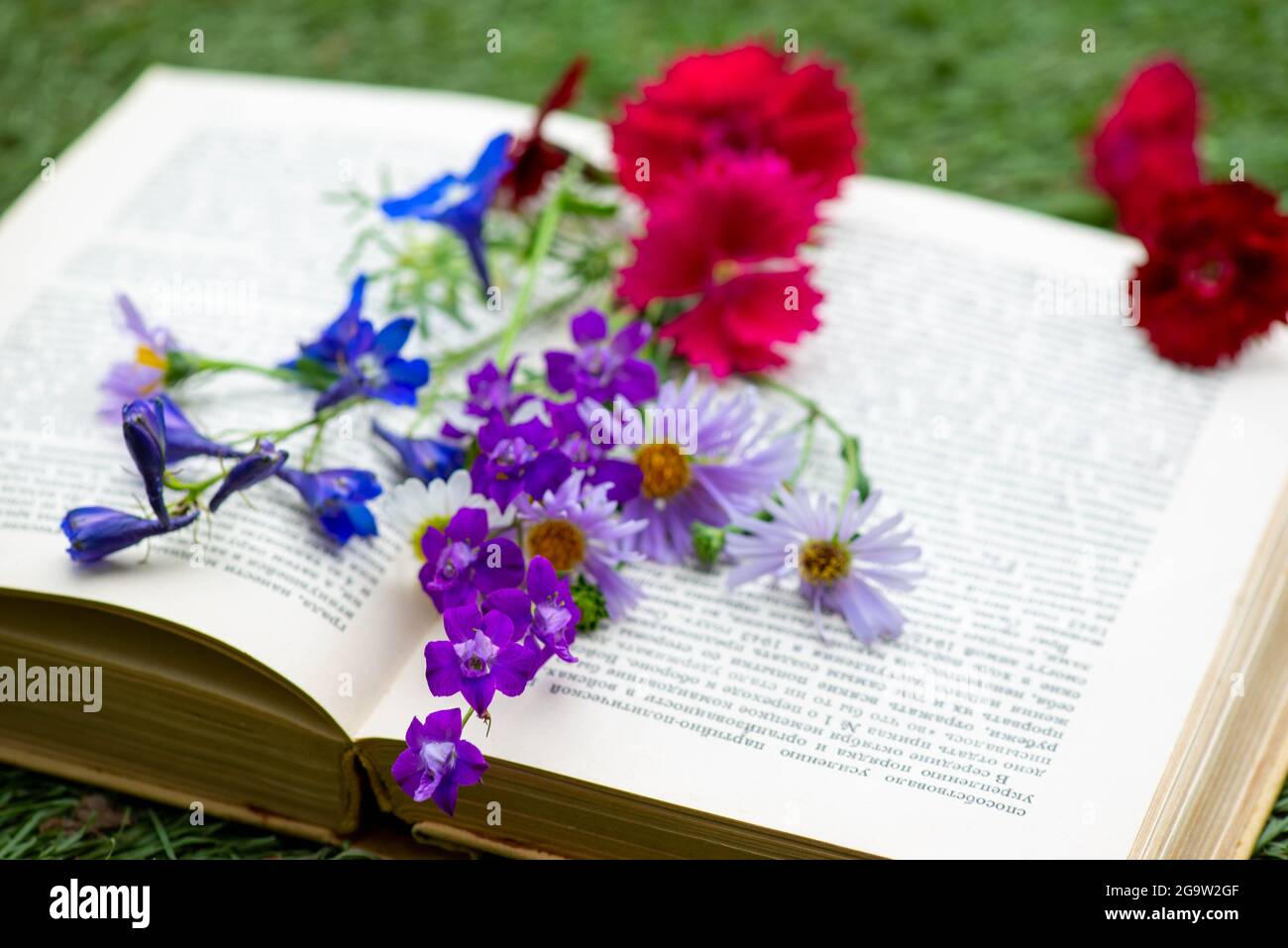 i fiori rossi giacciono sui libri aperti in una radura Foto Stock