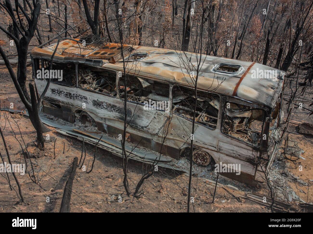 2019/ 20 NSW Bushfires Blue Mountains NSW Australia Foto Stock