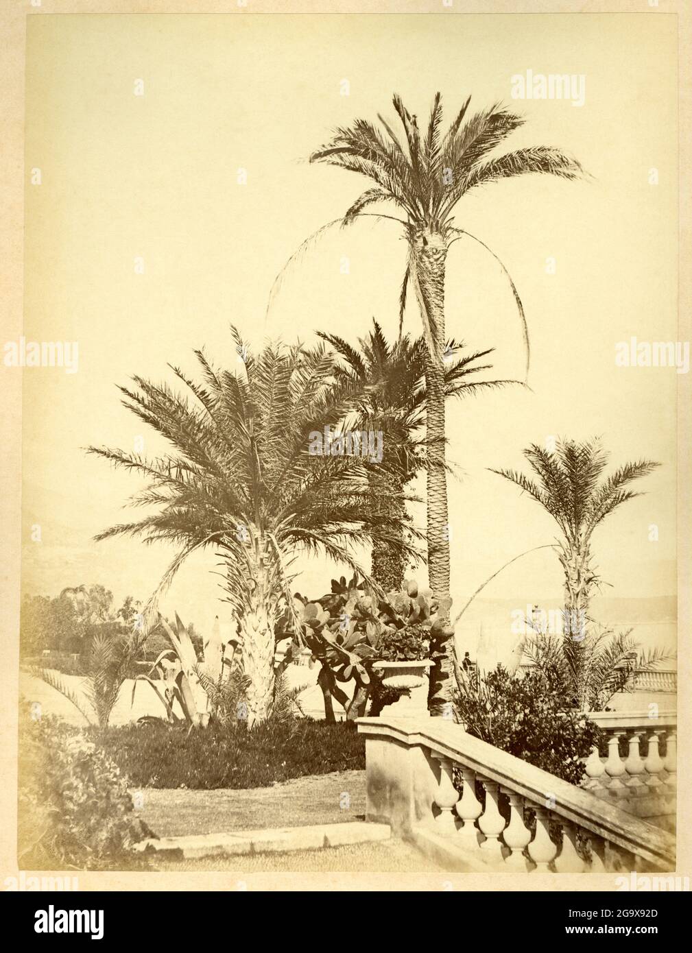 Europa, Monaco, Monte Carlo, palme vicino al casinò, fotografia intorno al 1890-1900, DIRITTI-AGGIUNTIVI-AUTORIZZAZIONE-INFORMAZIONI-NON-DISPONIBILI Foto Stock