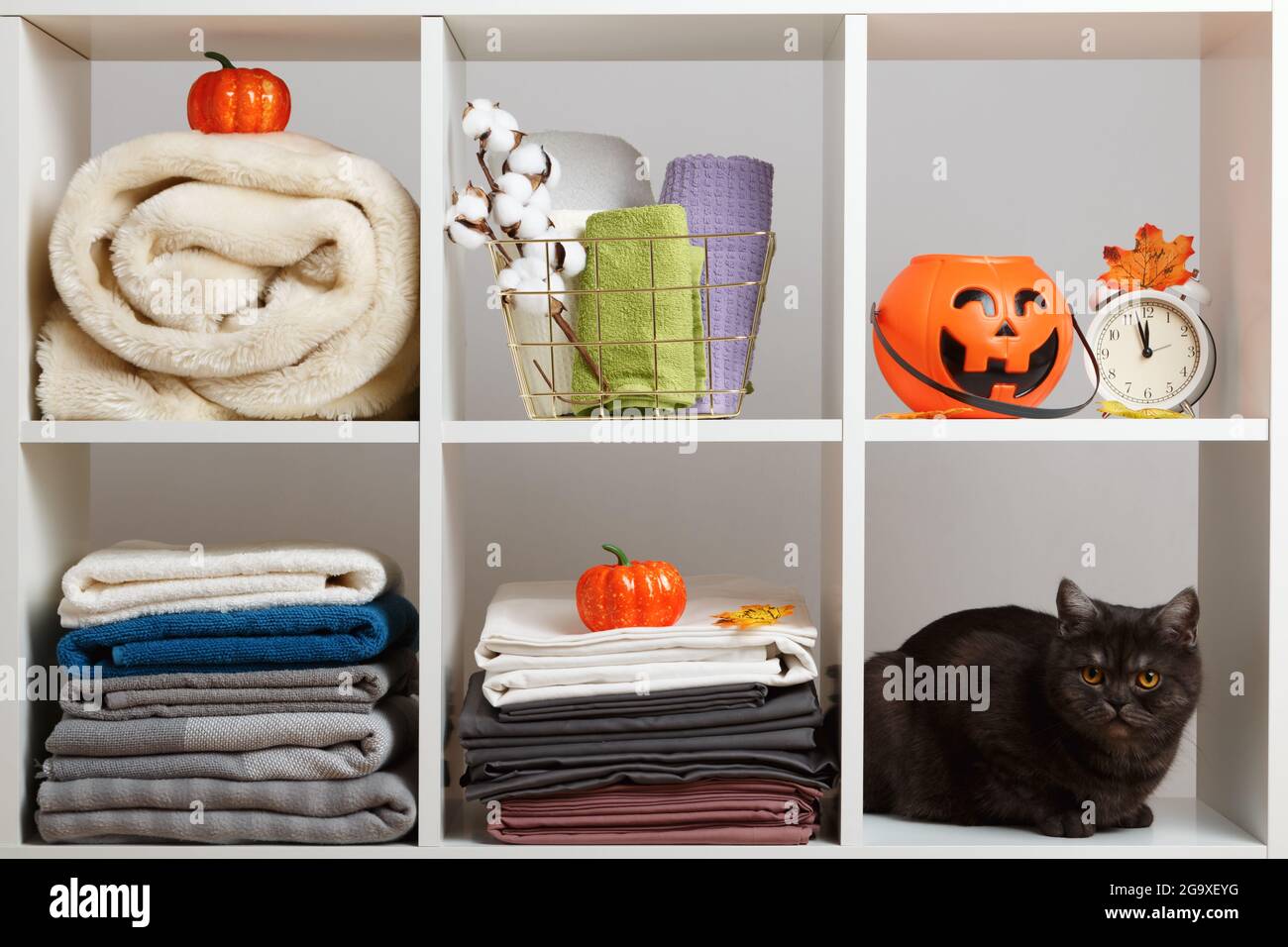 Asciugamani, lenzuola, biancheria da letto e un gatto sul ripiano. Deposito tessile e festa di Halloween. Foto Stock