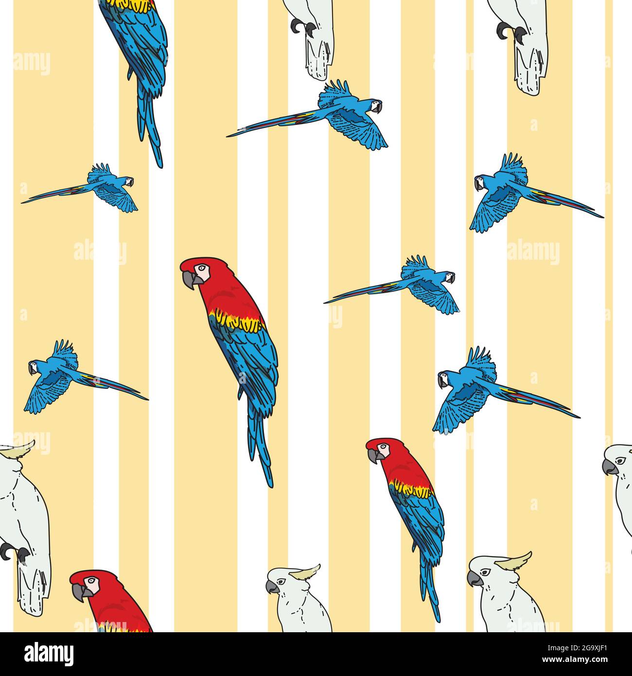 Vettore sfondo bianco uccelli tropicali, pappagalli, macaw, uccelli esotici cockatoo. Sfondo con ripetizione senza giunture Illustrazione Vettoriale