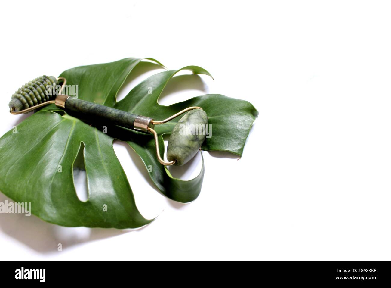 massaggiatore a rullo con una foglia di monstera. Luce dura, ombre, il concetto di auto-cura. Cura del viso. Zero sprechi. Trattamento di sollevamento e tonificazione a casa Foto Stock