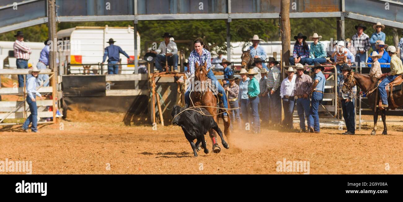 Con un pubblico e altri concorrenti che cercano una cowgirl in un evento di ropping vitello è in pieno progresso al Mt Garnet Rodeo, Queensland, Australia. Foto Stock