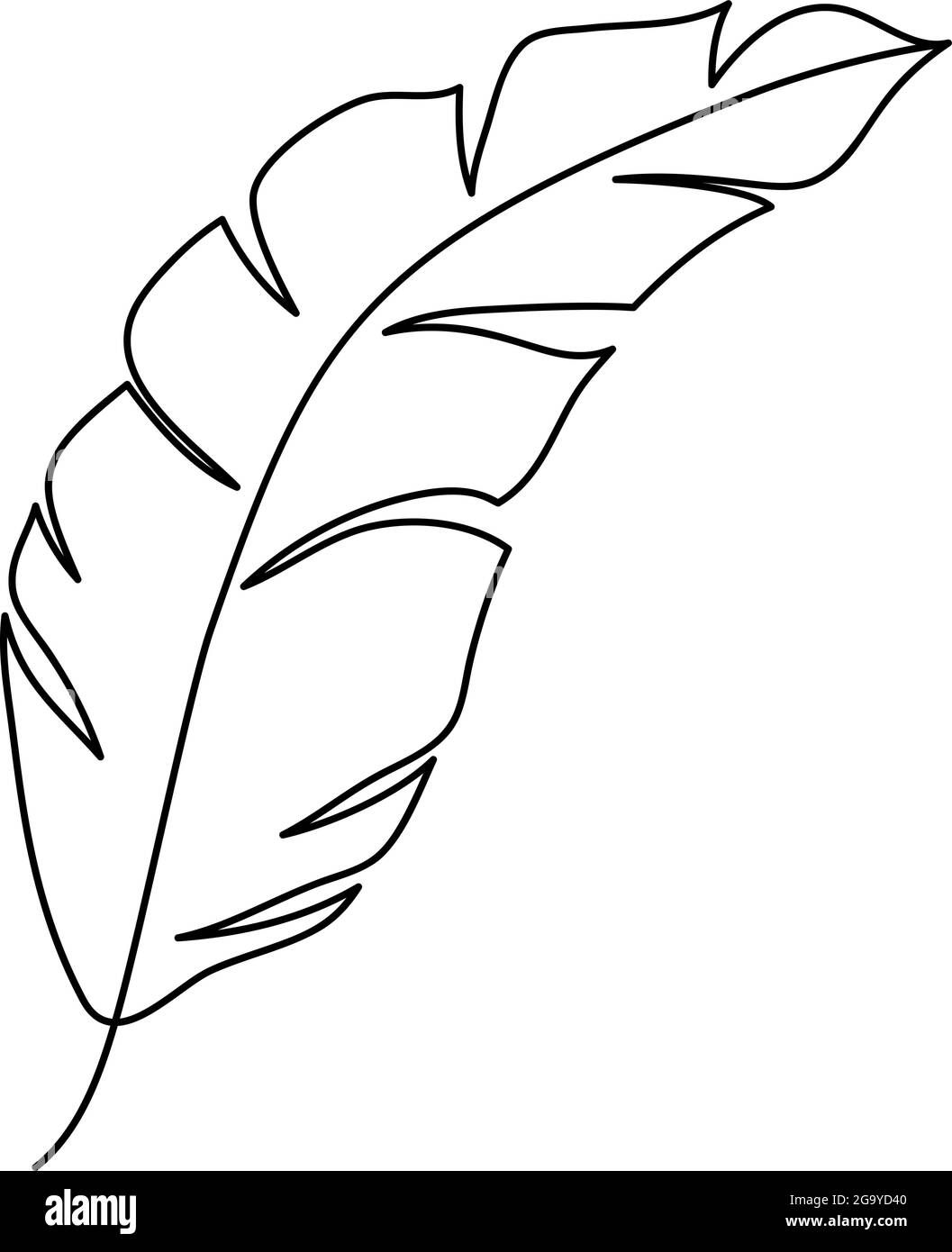 monolina vettore disegno esotico foglia tropicale monstera pianta. Concetto decorativo stampabile di houseplant per ornamento domestico del manifesto di decorazione della parete. Design moderno Illustrazione Vettoriale