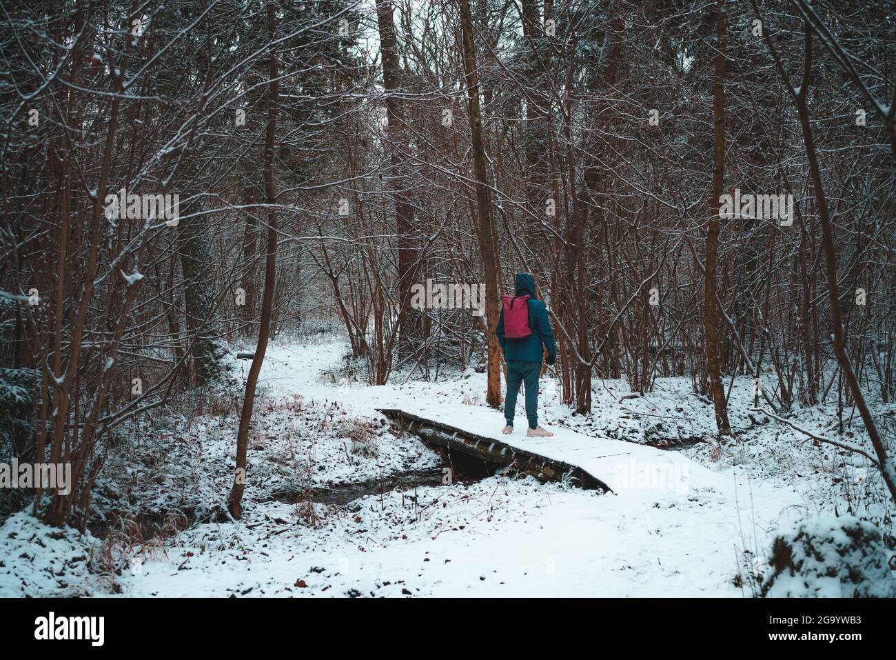 Uomo viaggiatore con zaino in piedi da solo su un piccolo ponte nella foresta in inverno Foto Stock