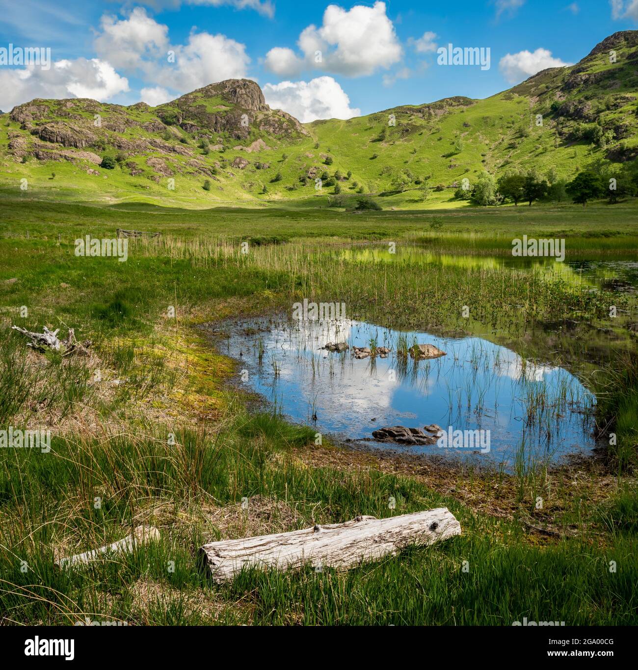 Blea tarn, Langdale Pikes, Side Pike, Lake District National Park, Cumbria, Inghilterra, UK Foto Stock