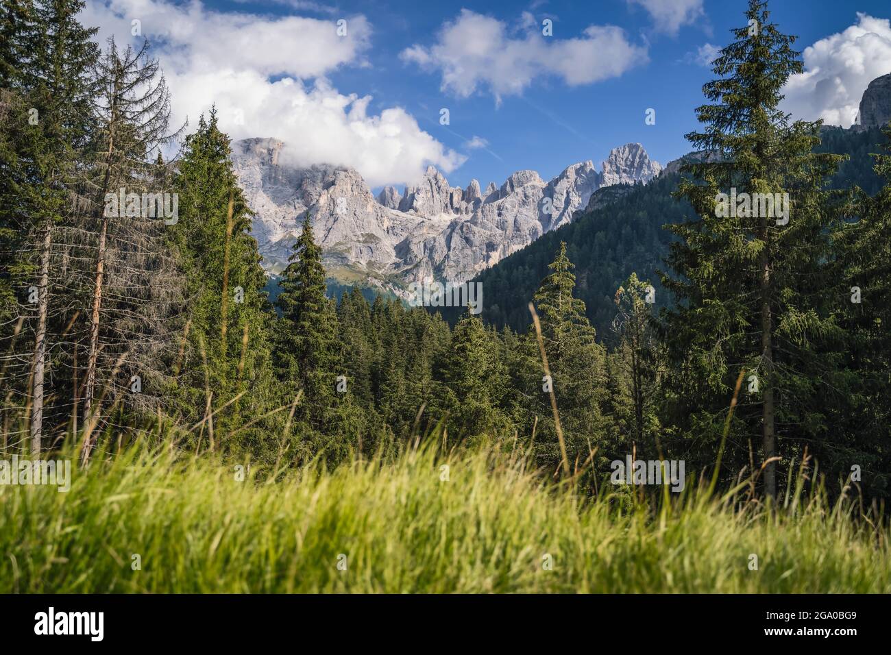 Val Venegia con vista sul gruppo delle pale di San Martino, Dolomiti italiane, Patrimonio dell'Umanità dell'UNESCO Foto Stock