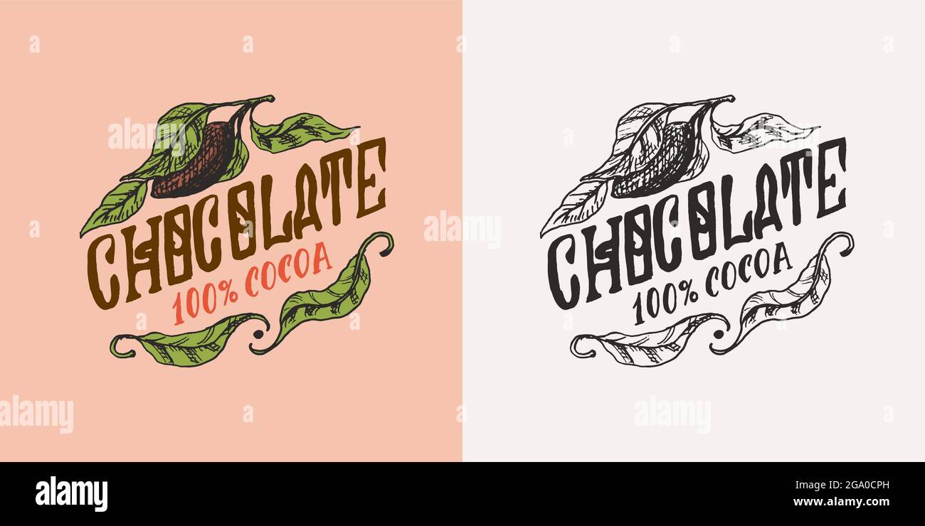 Foglie di cacao. Badge o logo vintage per t-shirt, tipografia, negozio o cartelloni. Schizzo inciso disegnato a mano. Illustrazione vettoriale. Illustrazione Vettoriale
