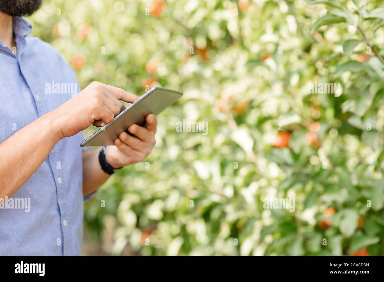 Tecnologia moderna con app mobile per lavorare online in un giardino ecologico Foto Stock