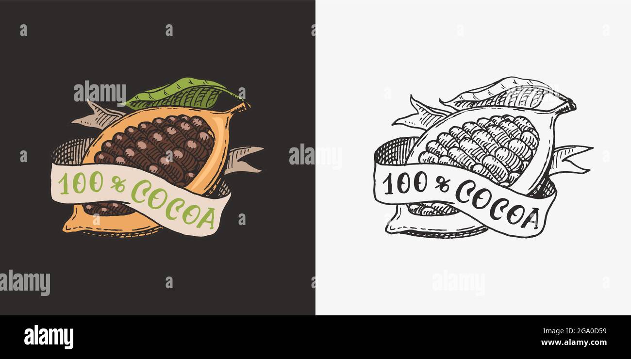 Foglie di cacao. Badge o logo vintage per t-shirt, tipografia, negozio o cartelloni. Schizzo inciso disegnato a mano. Illustrazione vettoriale. Illustrazione Vettoriale