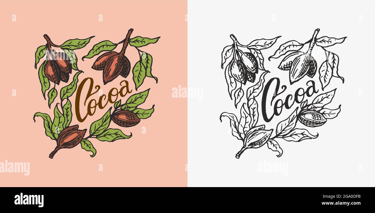 Foglie di cacao. Badge o logo vintage per t-shirt, tipografia, negozio o cartelloni. Schizzo inciso disegnato a mano. Illustrazione vettoriale. Illustrazione Vettoriale