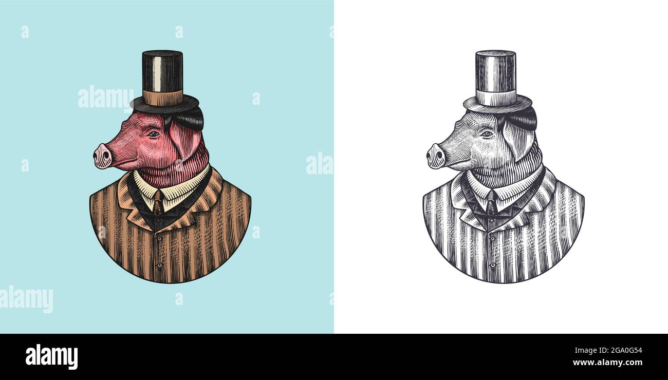 Carattere di maiale. Porco parrucchiere. Animale alla moda, Signore vitoriano in una giacca. Disegno a mano inciso vecchio schizzo monocromatico. Illustrazione vettoriale Illustrazione Vettoriale