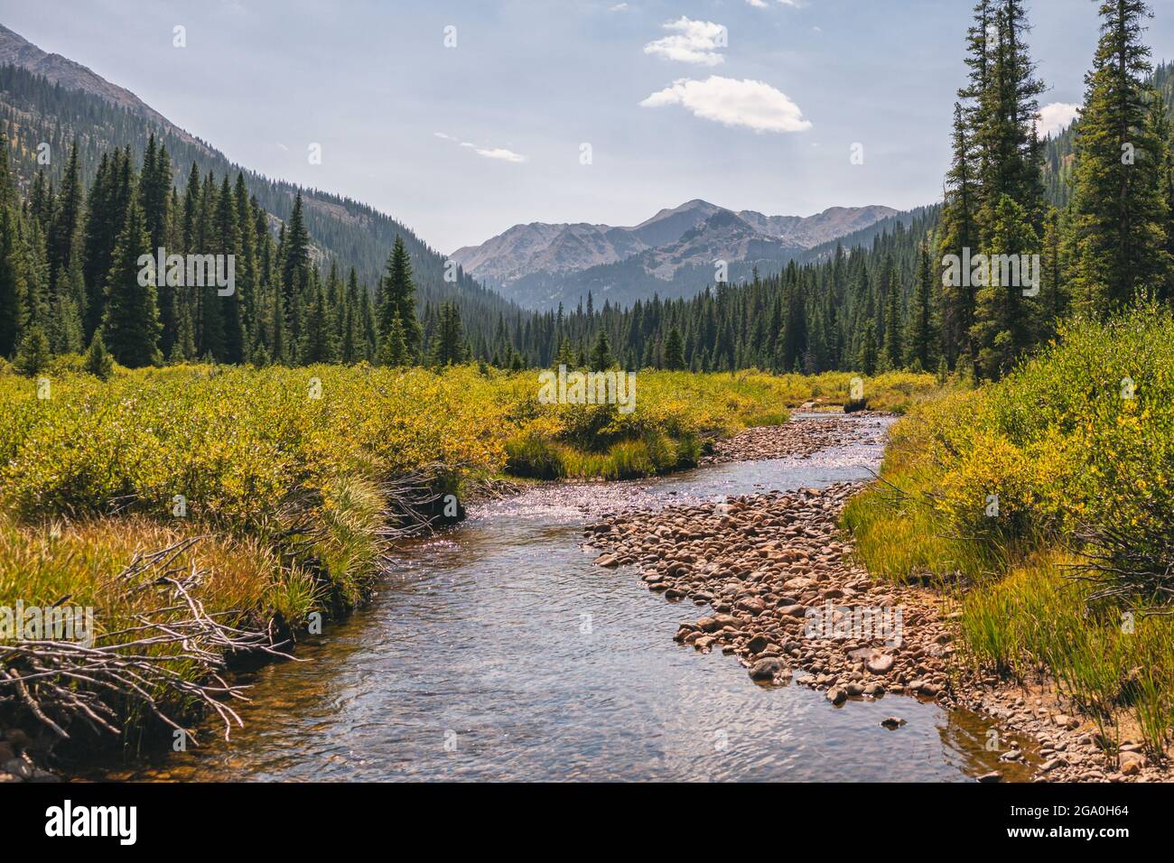 Marten Creek nella Hunter-Fryingpan Wilderness, Colorado Foto Stock