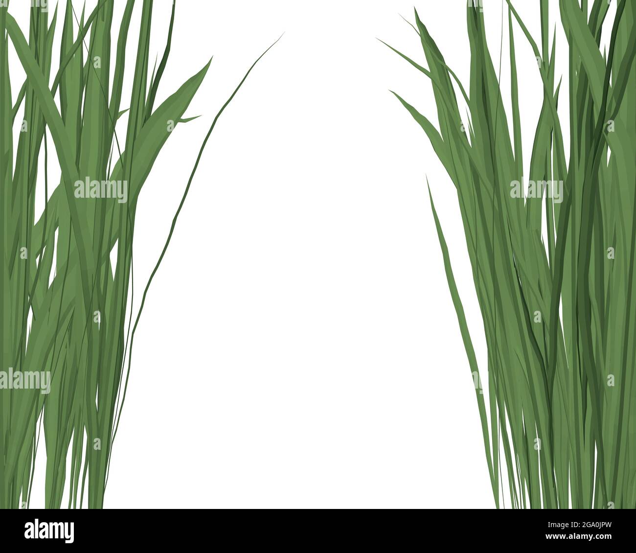 Sfondo con erba verde sui lati isolati su sfondo bianco. Illustrazione vettoriale. Illustrazione Vettoriale