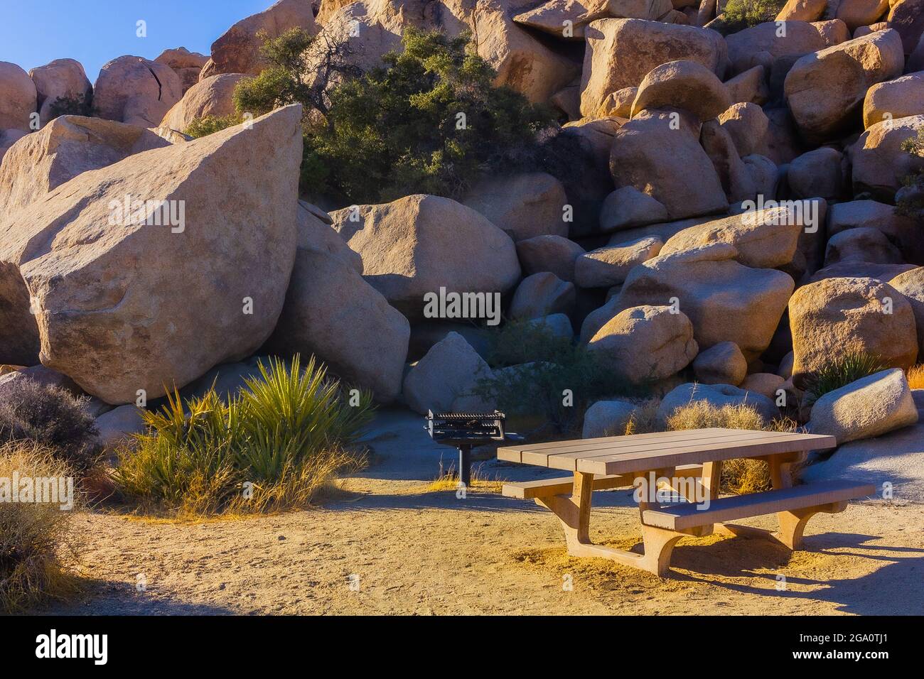 Joshua Tree National Park, California del Sud Foto Stock