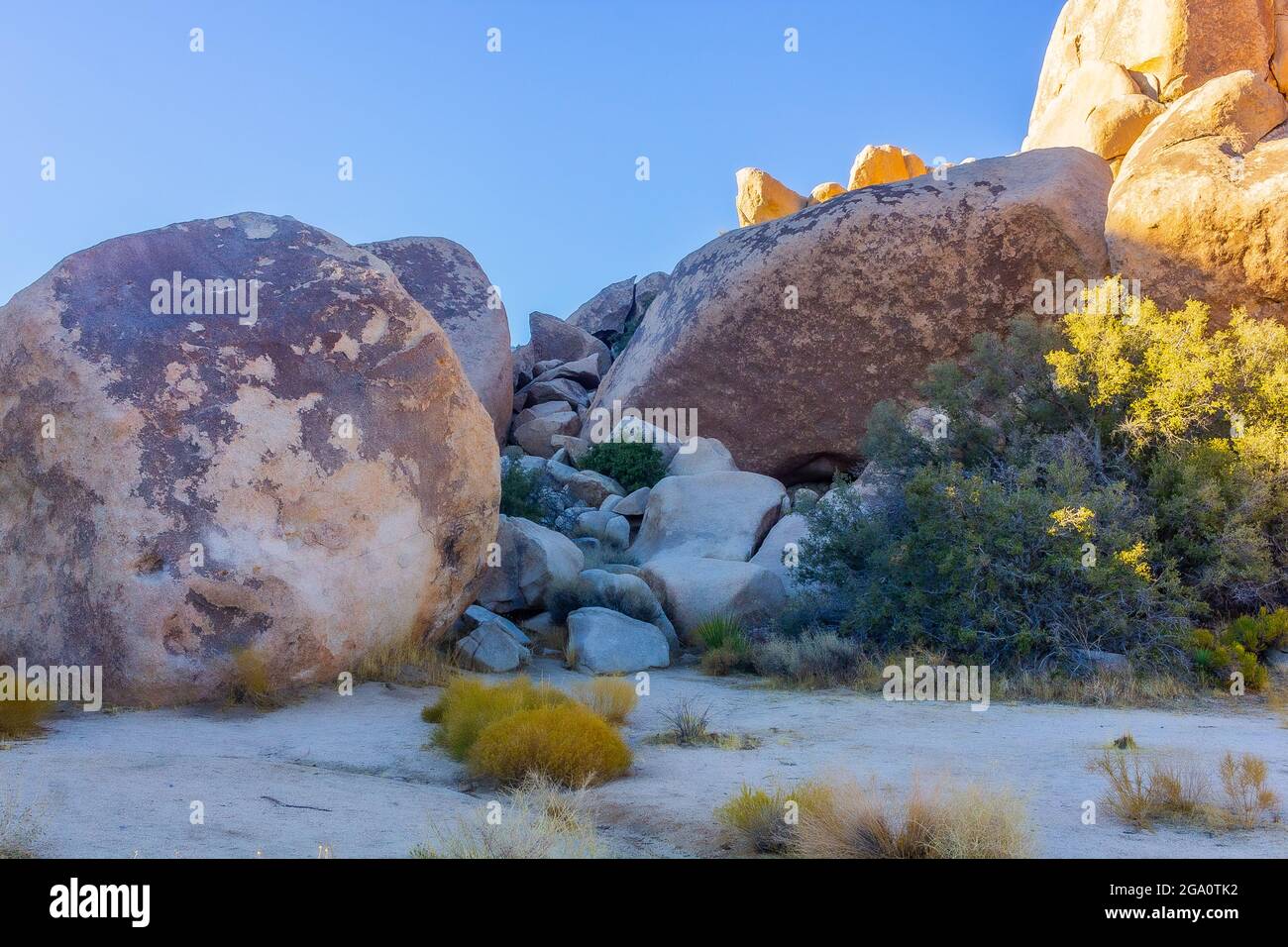 Joshua Tree National Park, California del Sud Foto Stock