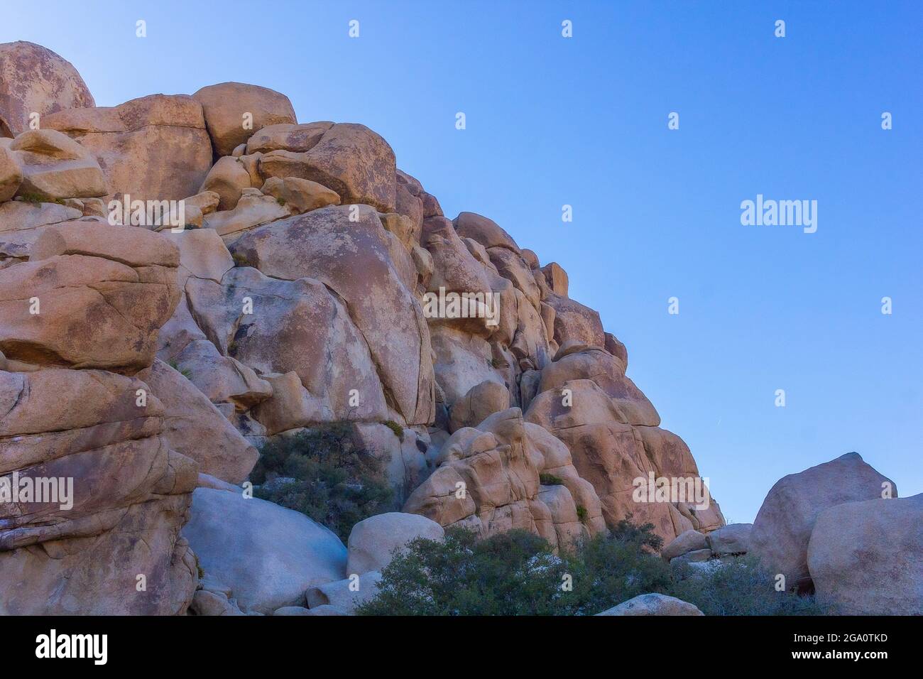 Joshua Tree National Park, California del Sud Foto Stock