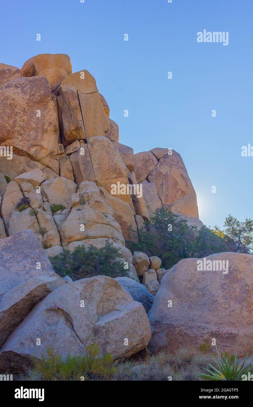 Joshua Tree National Park, California del Sud Foto Stock